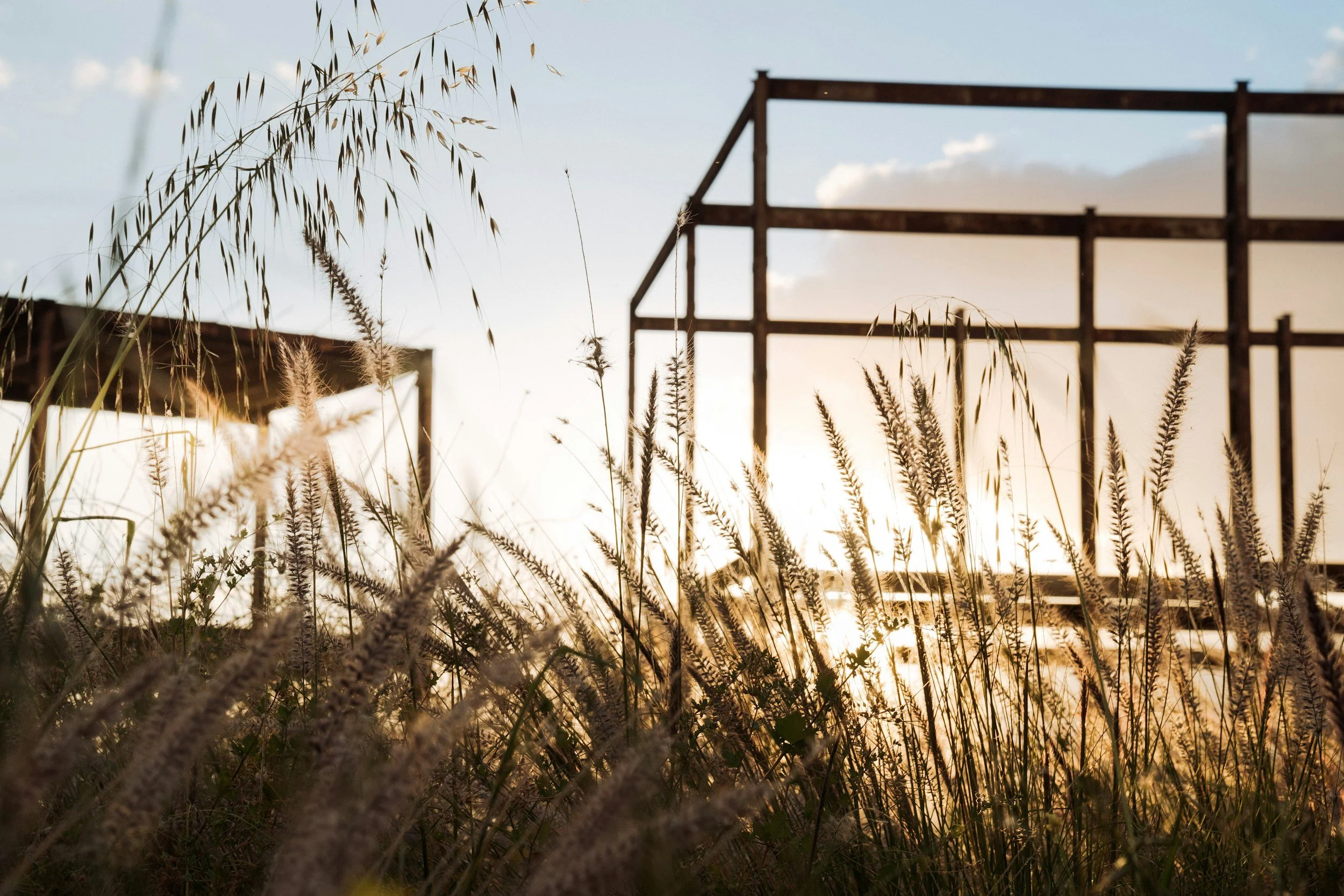 my construction at sunset