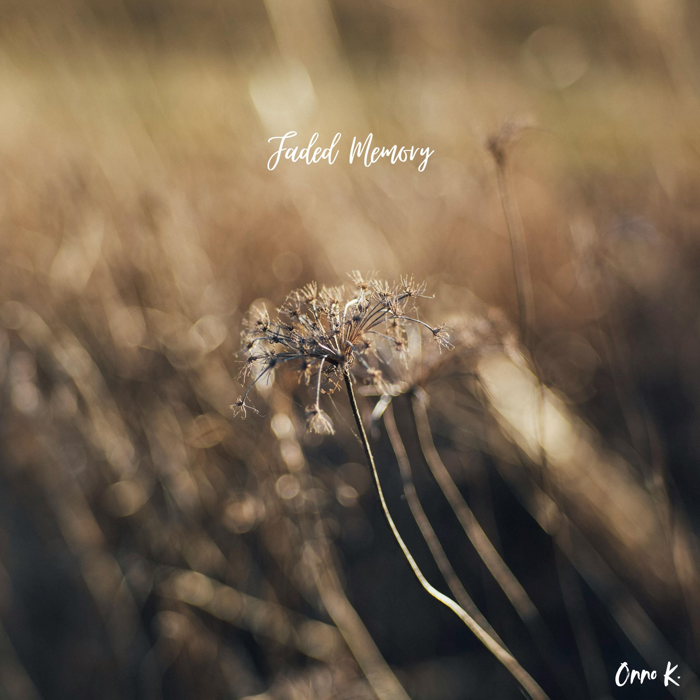 Faded Memory.jpg