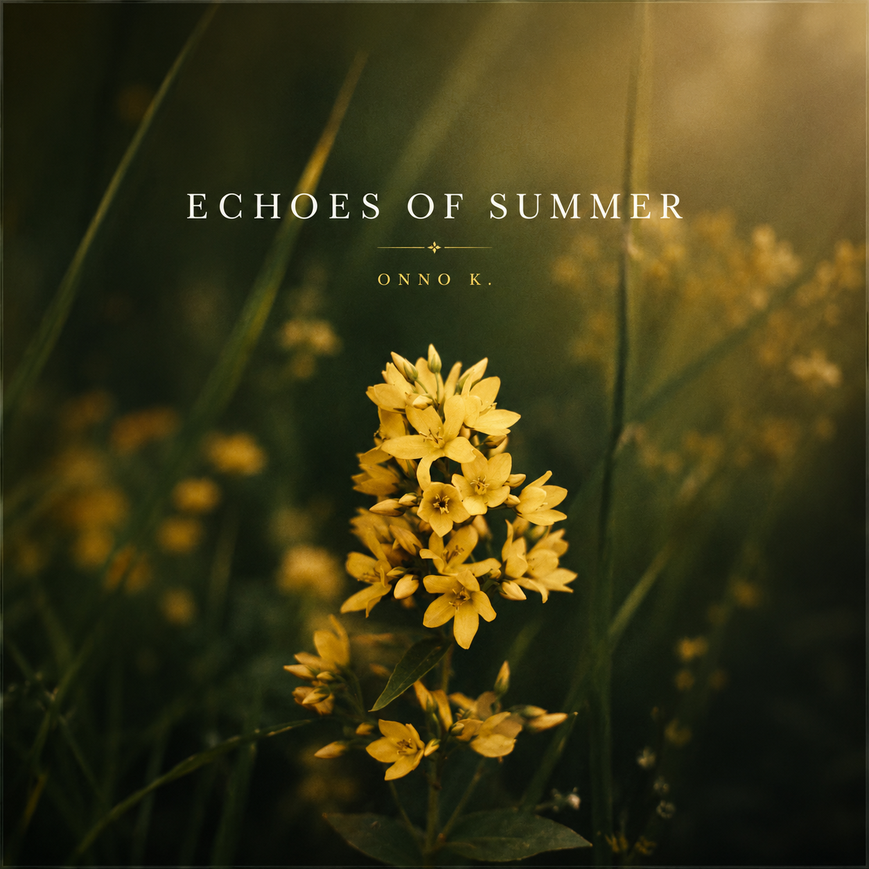 Echoes of Summer - Sheet music