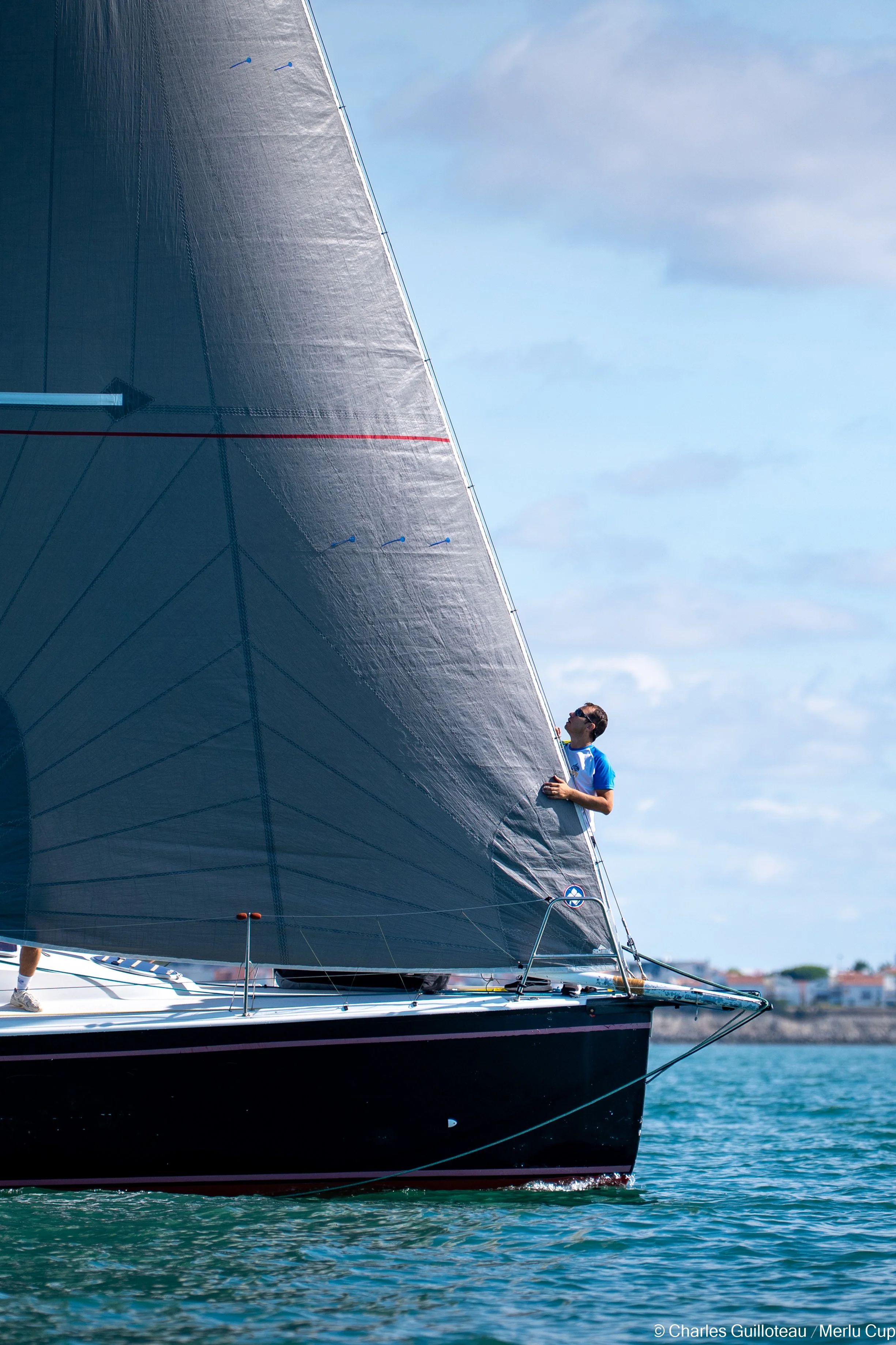 seahorse 1180_.jpg