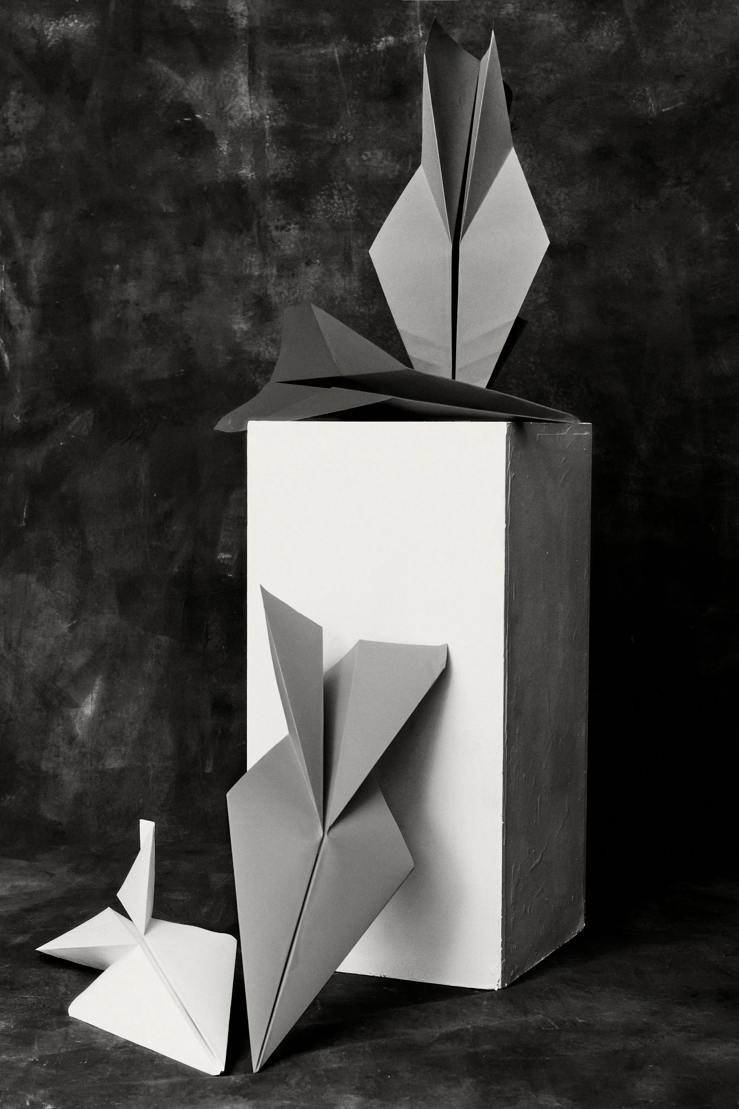 Folded paper sculptures resembling abstract animals and structures against a dark textured background, with some pieces placed on or near a white block.