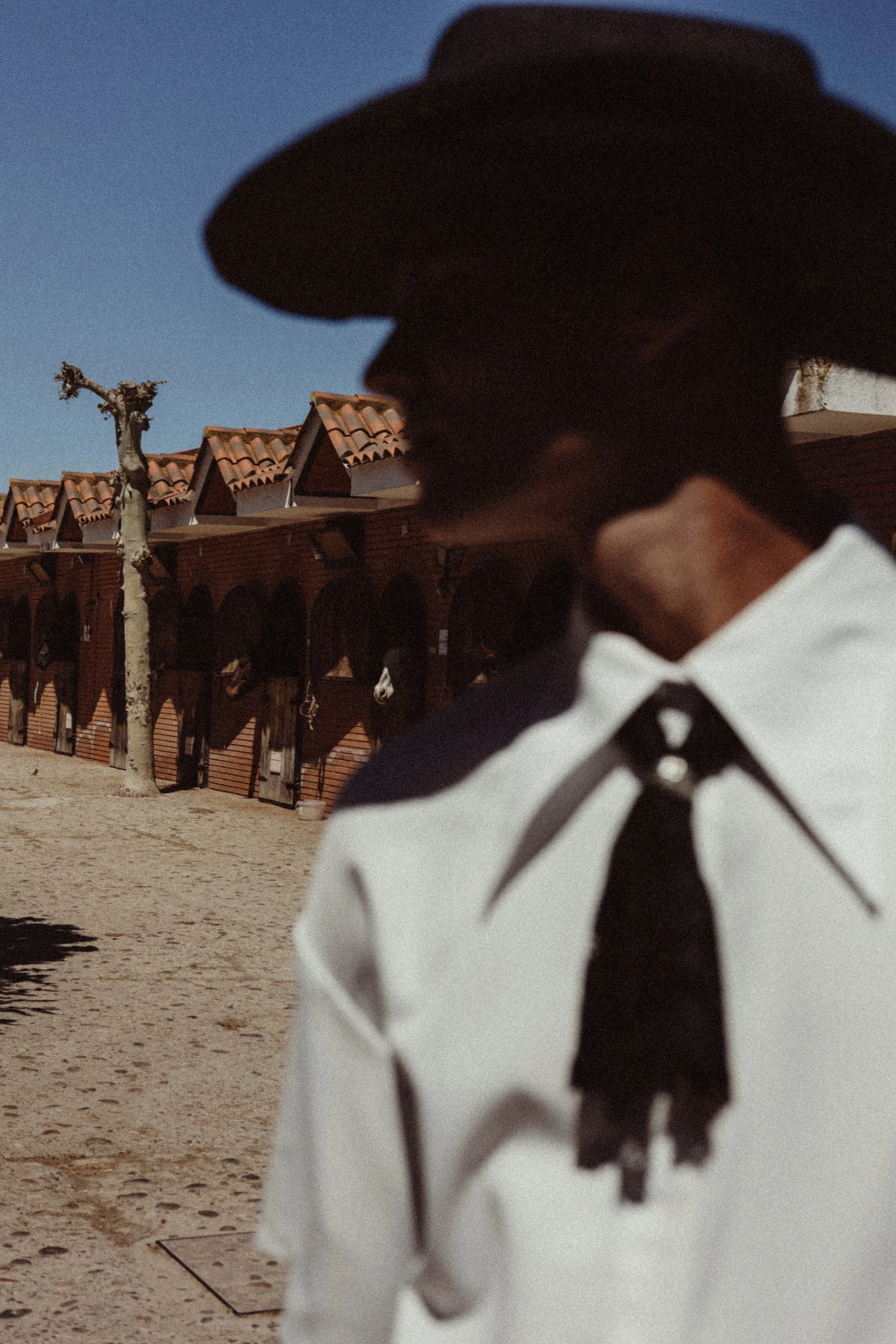 Person dressed as a wizard or witch with a black hat and a black and white costume, standing outdoors in front of a row of red-roofed buildings and a leafless tree, against a clear blue sky.