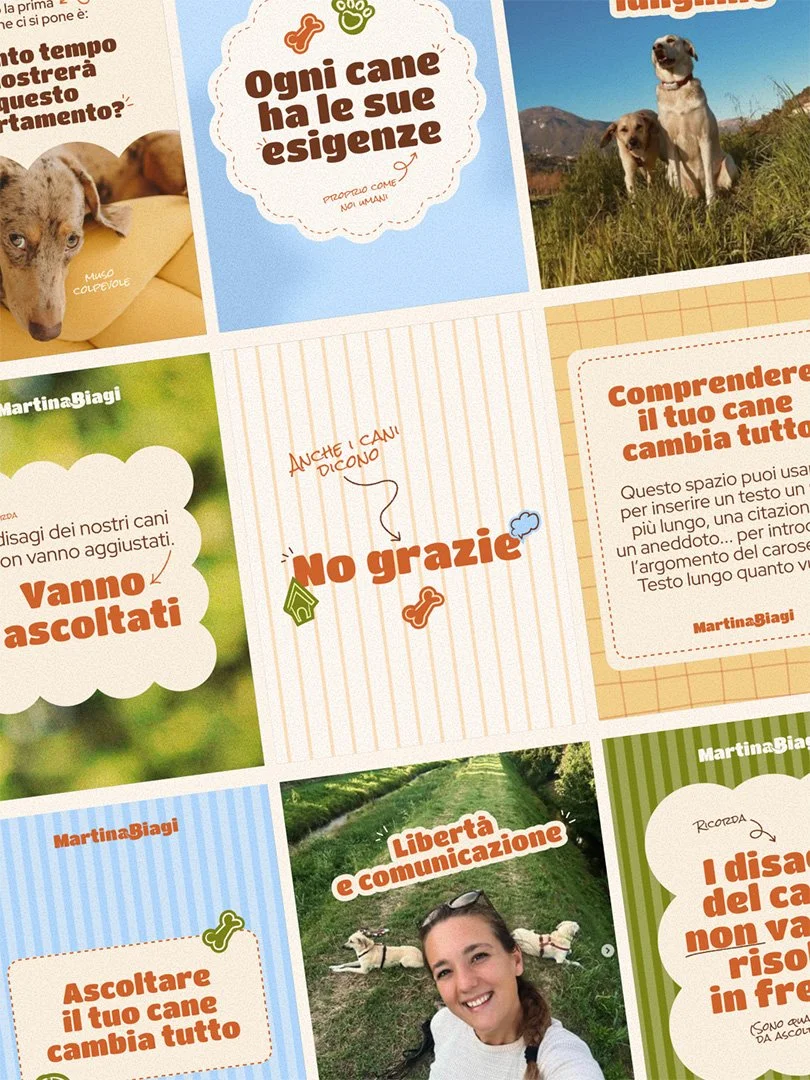 Collage di pagine di un opuscolo informativo con immagini di cani e persone, e testi in italiano riguardanti le esigenze del cane, l'ascolto, la comunicazione e il rispetto.