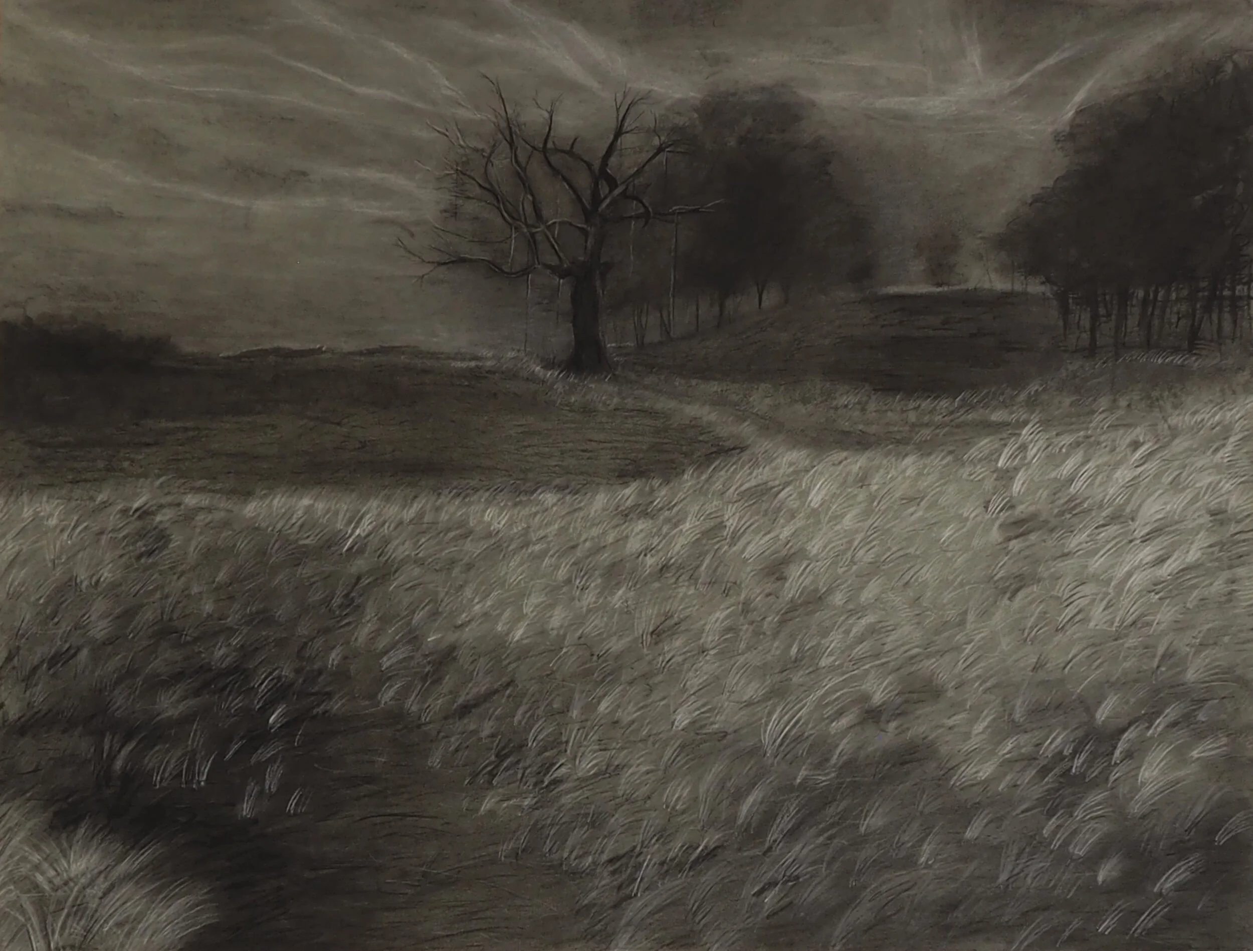 Ghosting, 2021, charcoal and pastel on grey toned paper. 
Photograph taken by Kentstreet Gallery. 