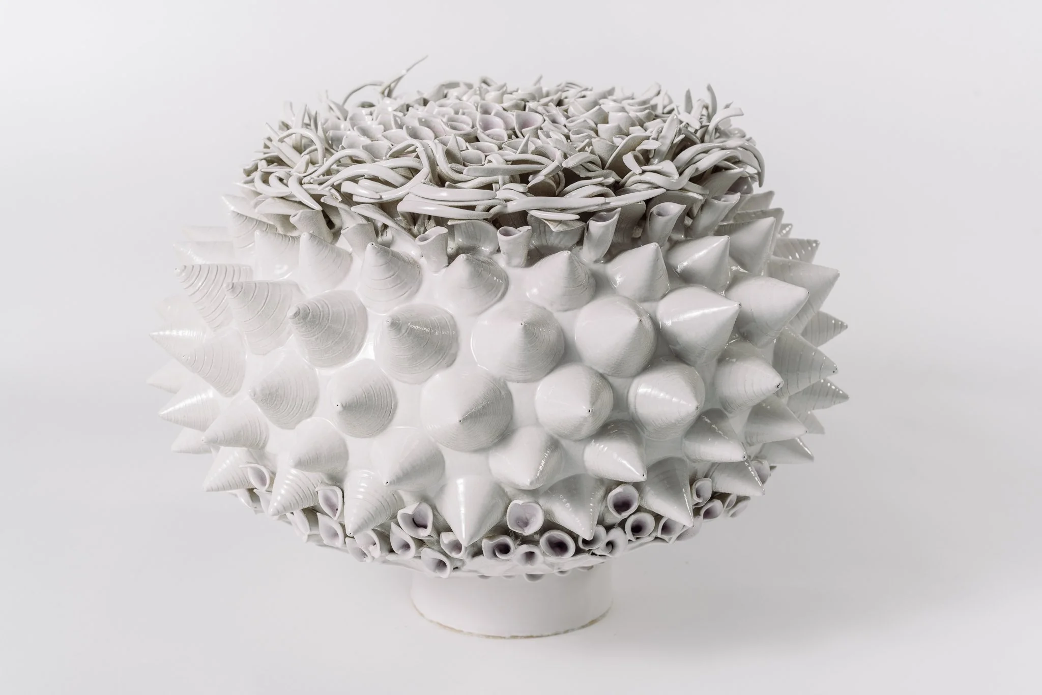 Sculpture made of white seashells arranged in a spherical shape on a white background.