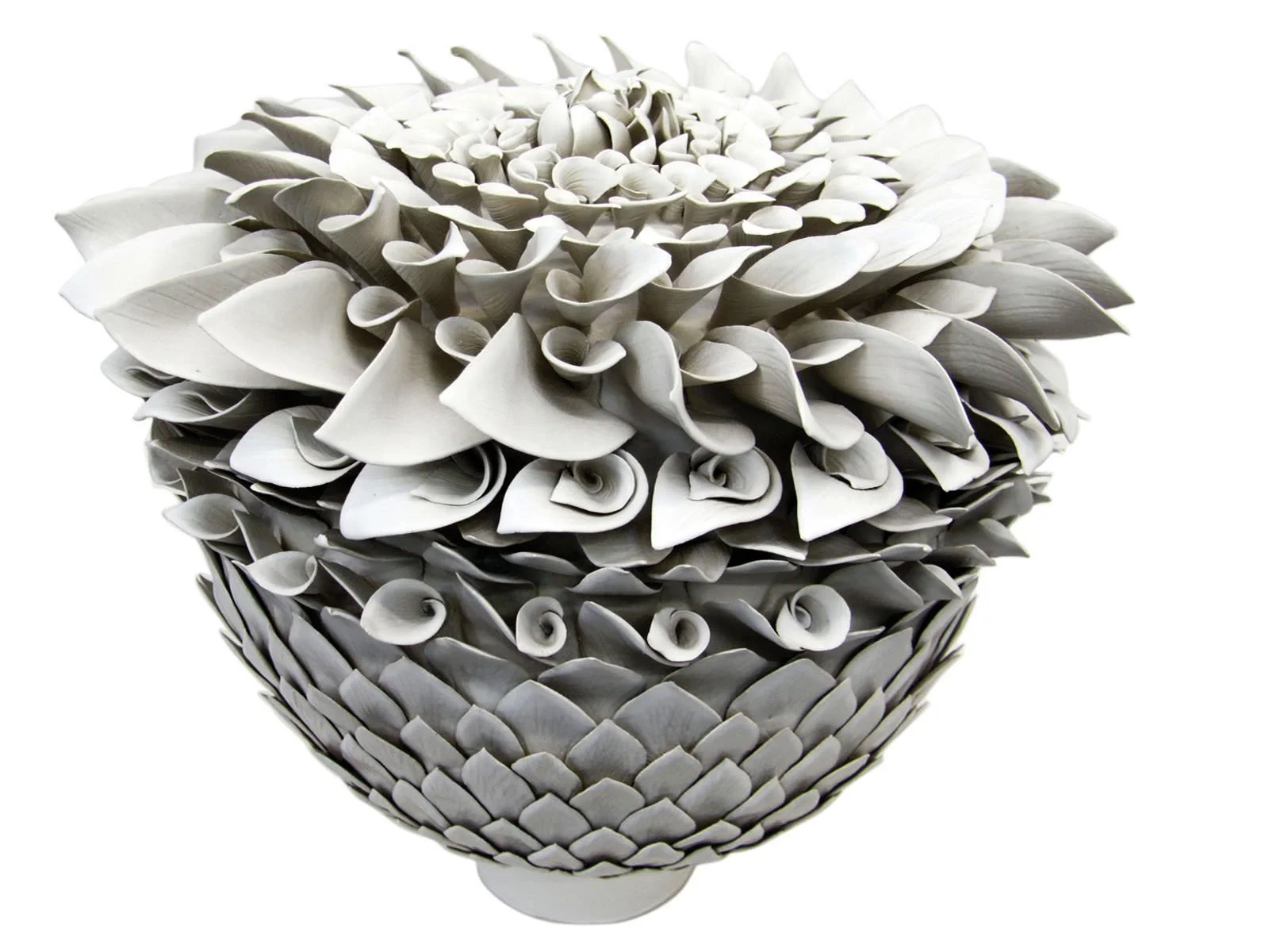 white-seed-pod.jpg