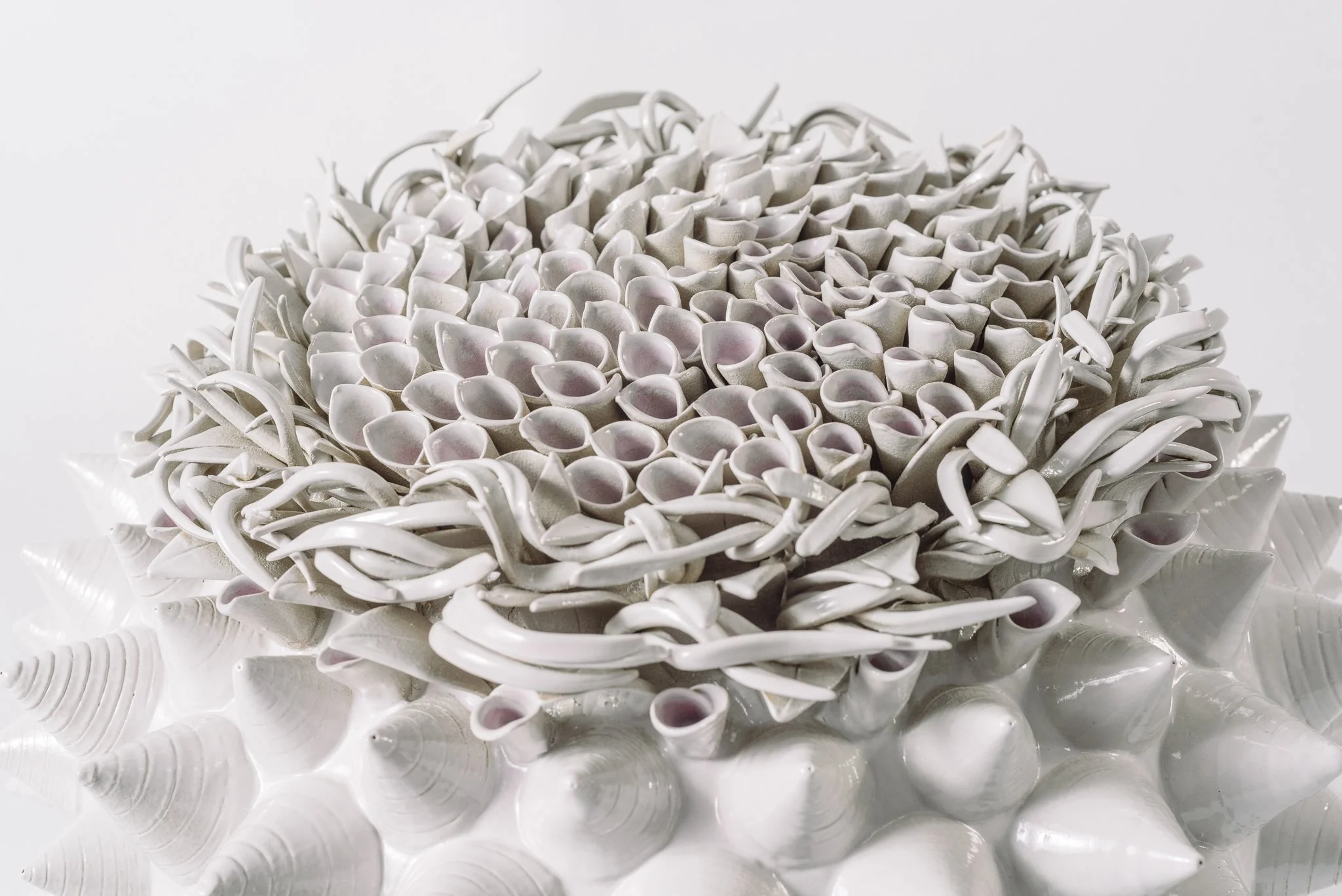A decorative arrangement of white ceramic shells and seaweed shapes on a white background.