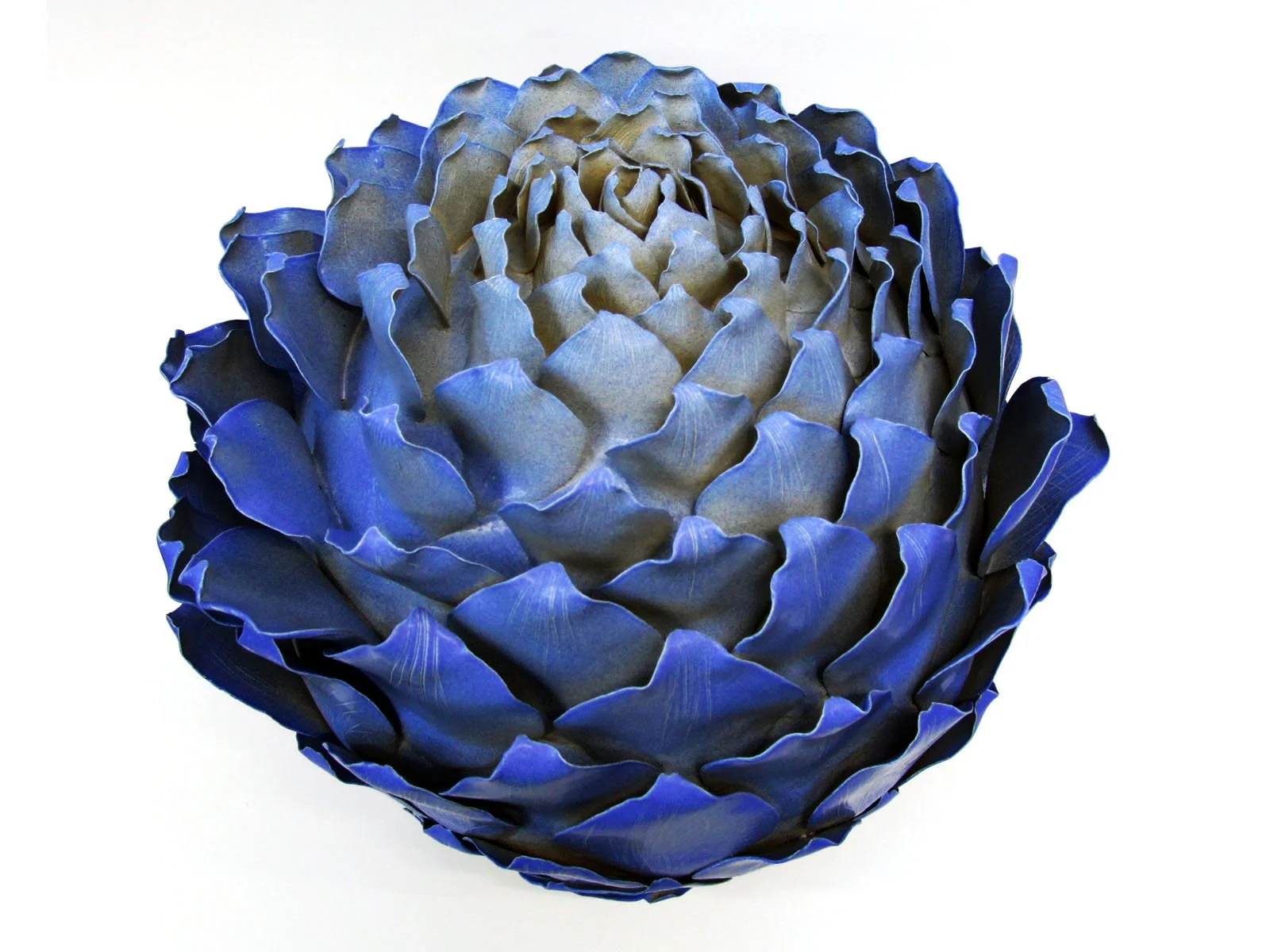 Close-up of a blue and green artichoke with layered leaves.