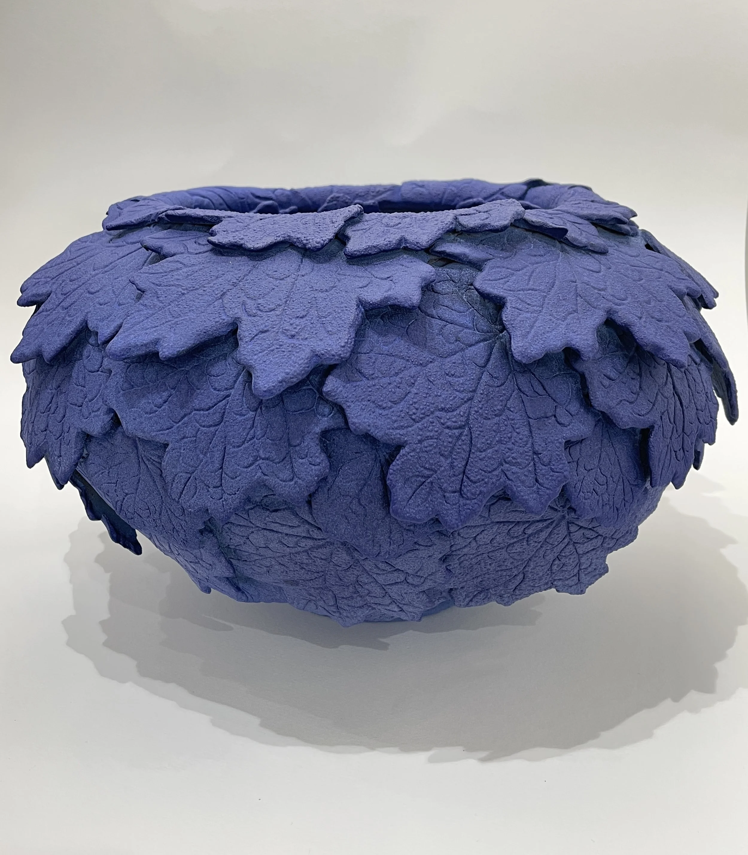 3AHowitt Heuchera.jpg