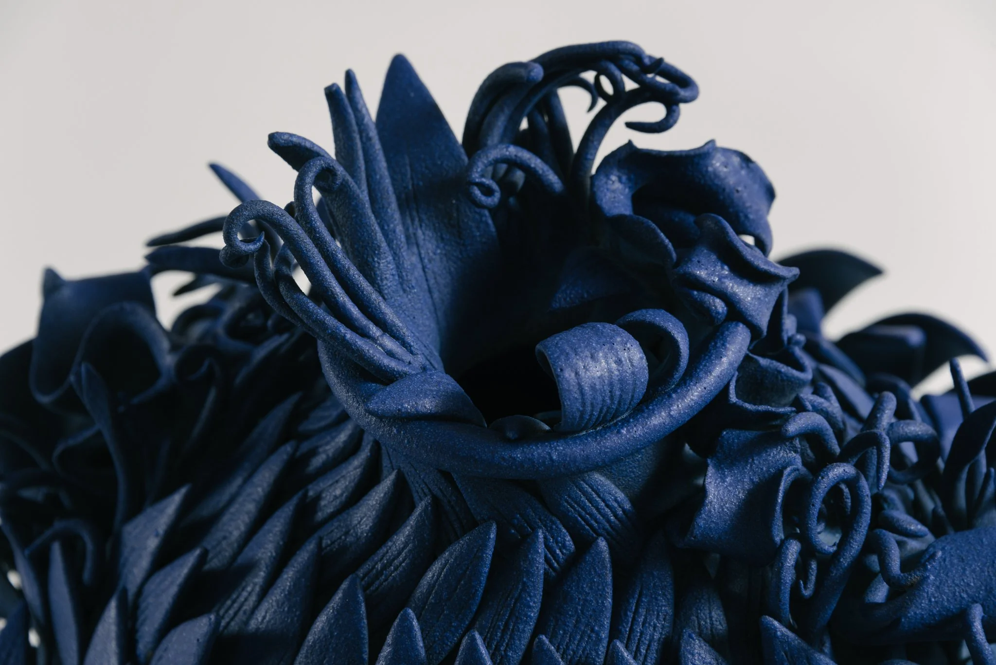 Close-up of a dark blue rose with curled petals and intricate textures against a plain light background.