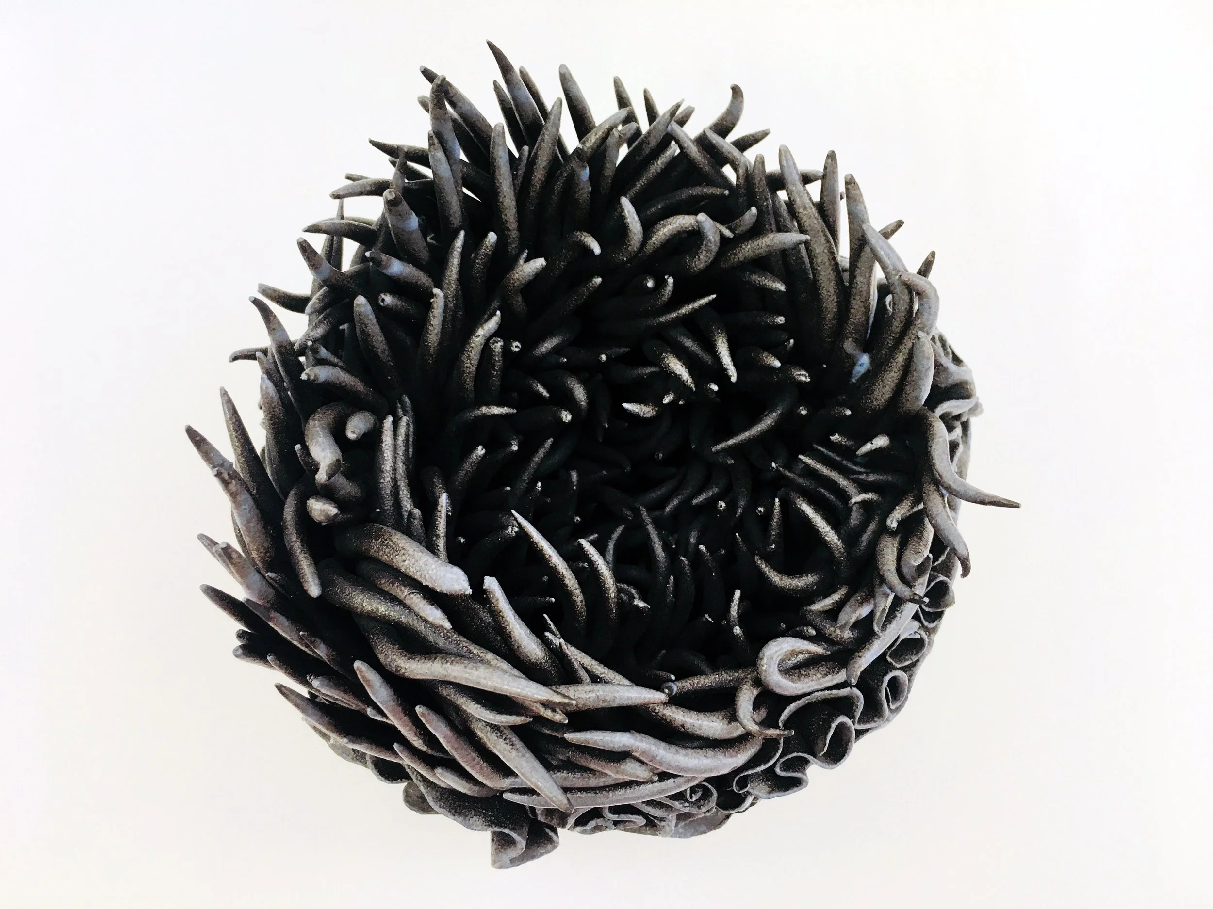 Dark gray, spiky, spherical object resembling a sea urchin or coral against a white background.