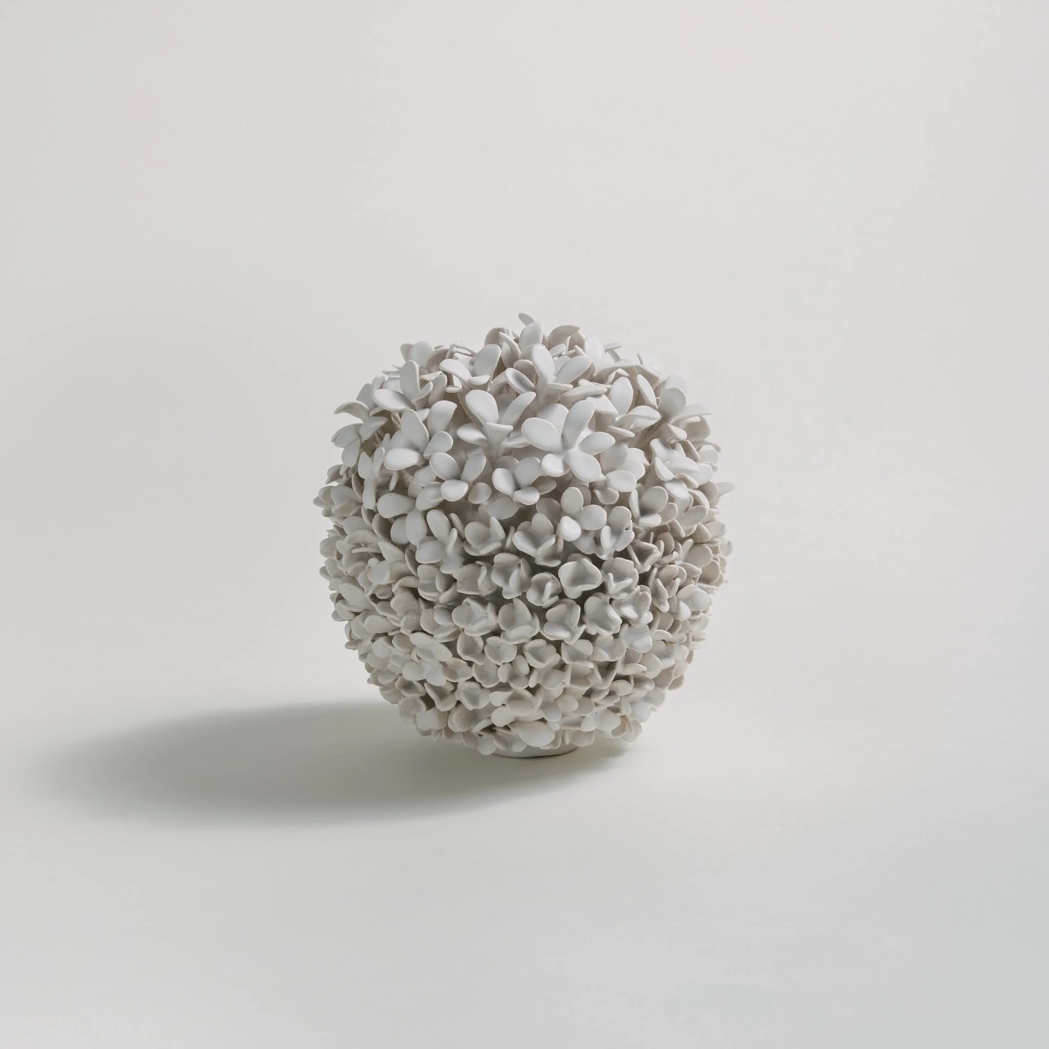 A white cluster of small, curved objects, possibly seeds or pills, resting on a white surface with a plain, light background and a shadow cast underneath.
