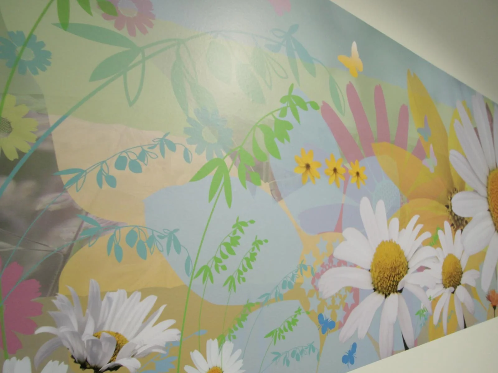 wall-daisy.jpg