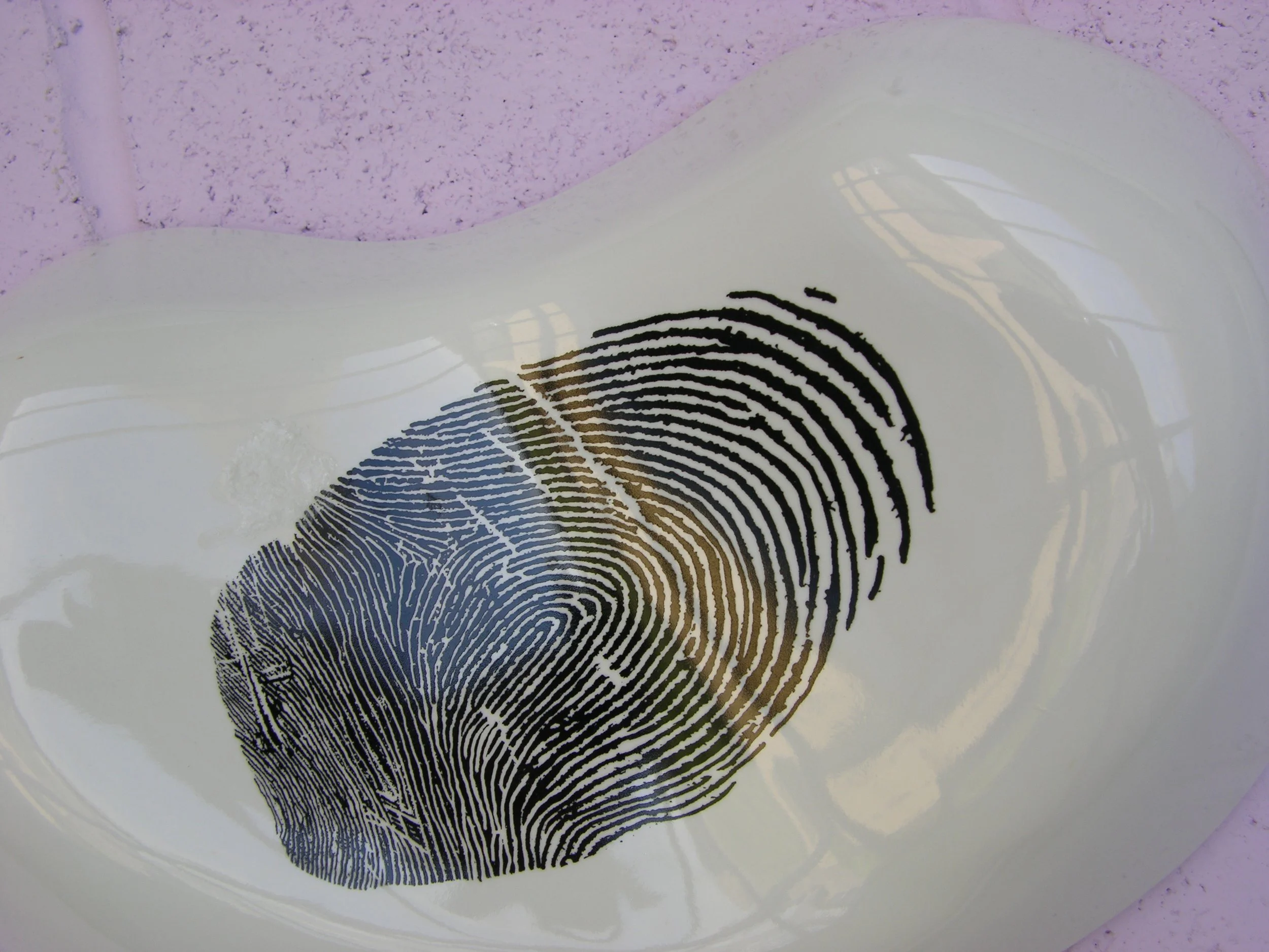 DNA-Fingerprinting-19.jpg