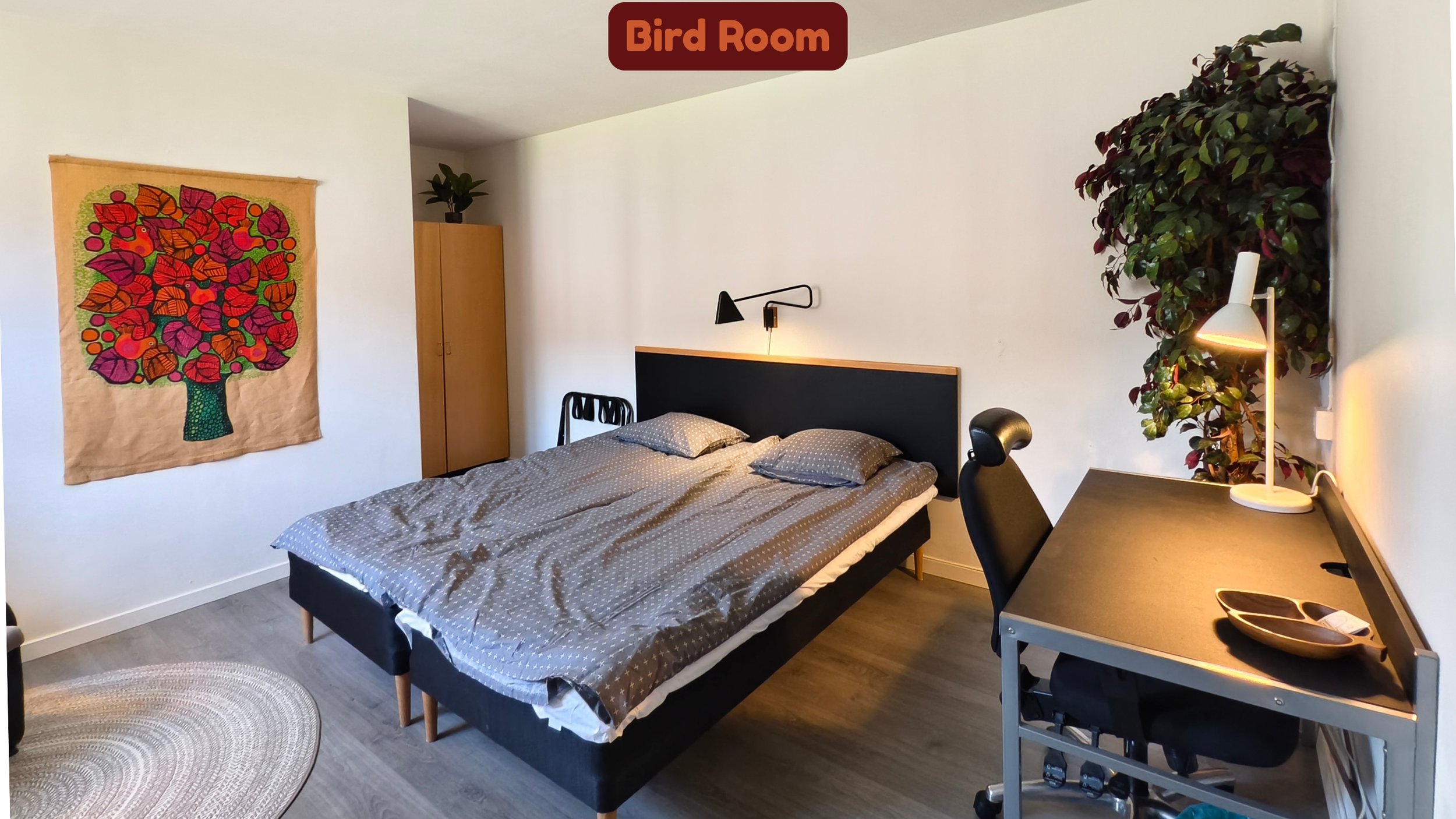 Bird Room