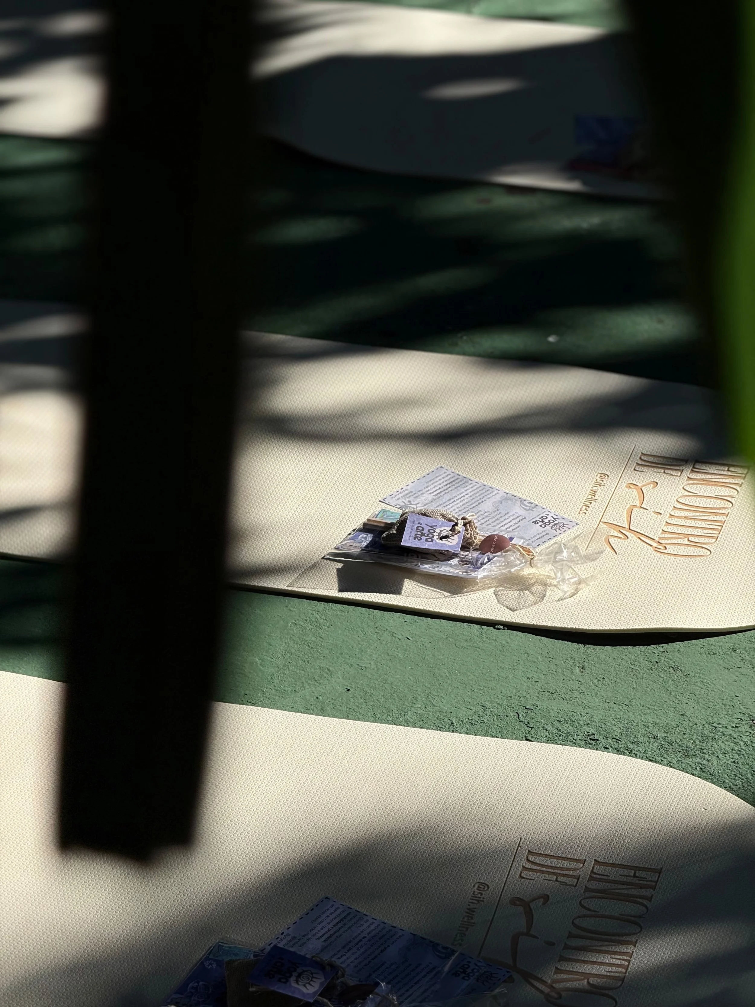 ee2ffddb-95d7-4268-a713-4eb4a6c7a463.JPG