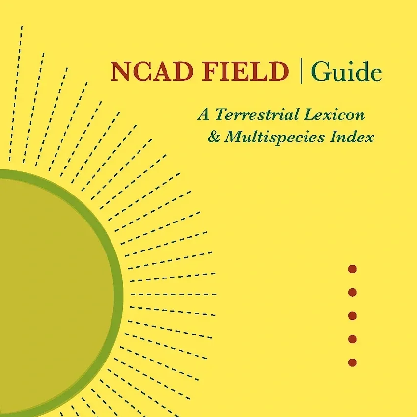 field-publication-oct2025_jpg_thumbnail.0x1200.webp