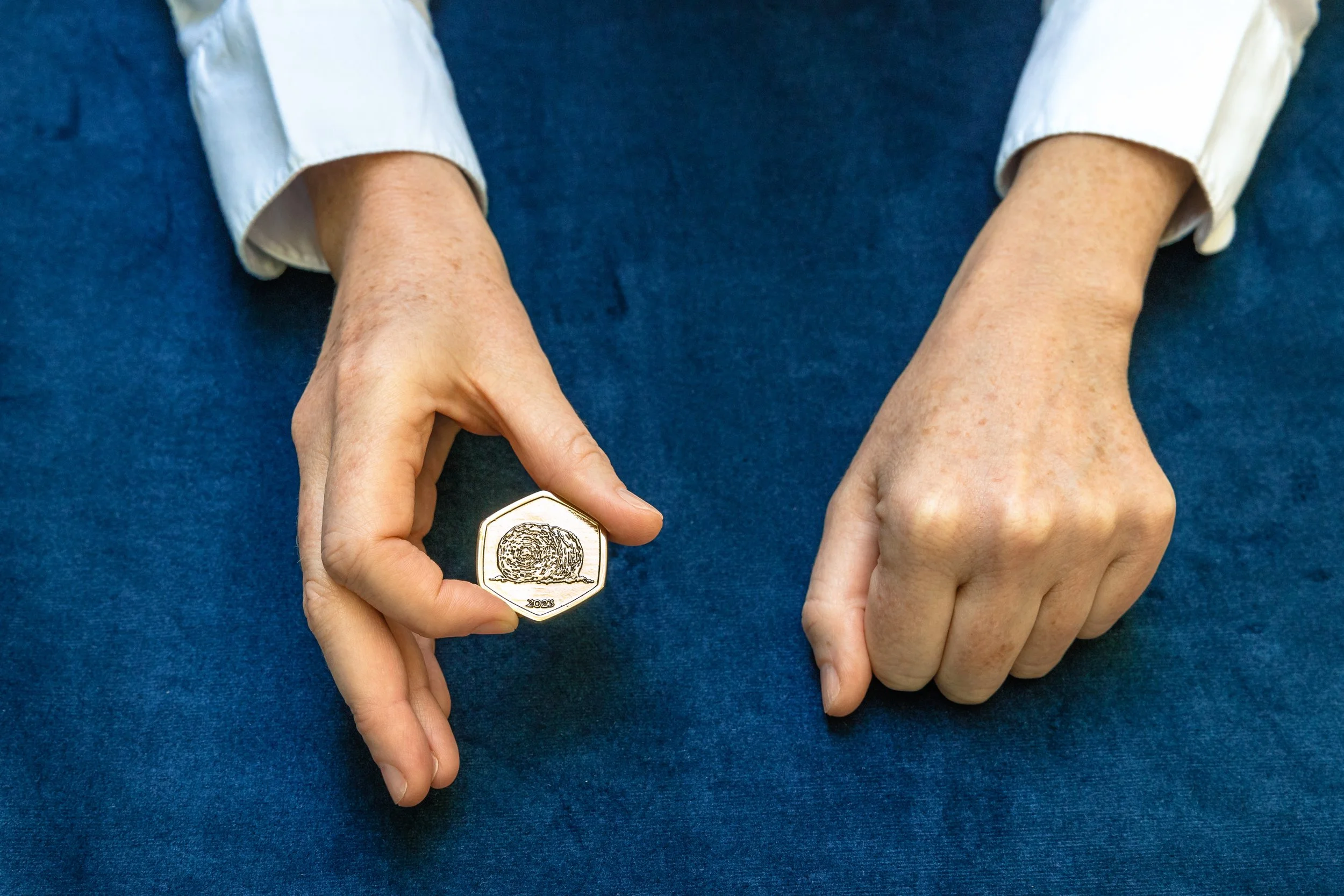 Seoidin Coin-10.jpg