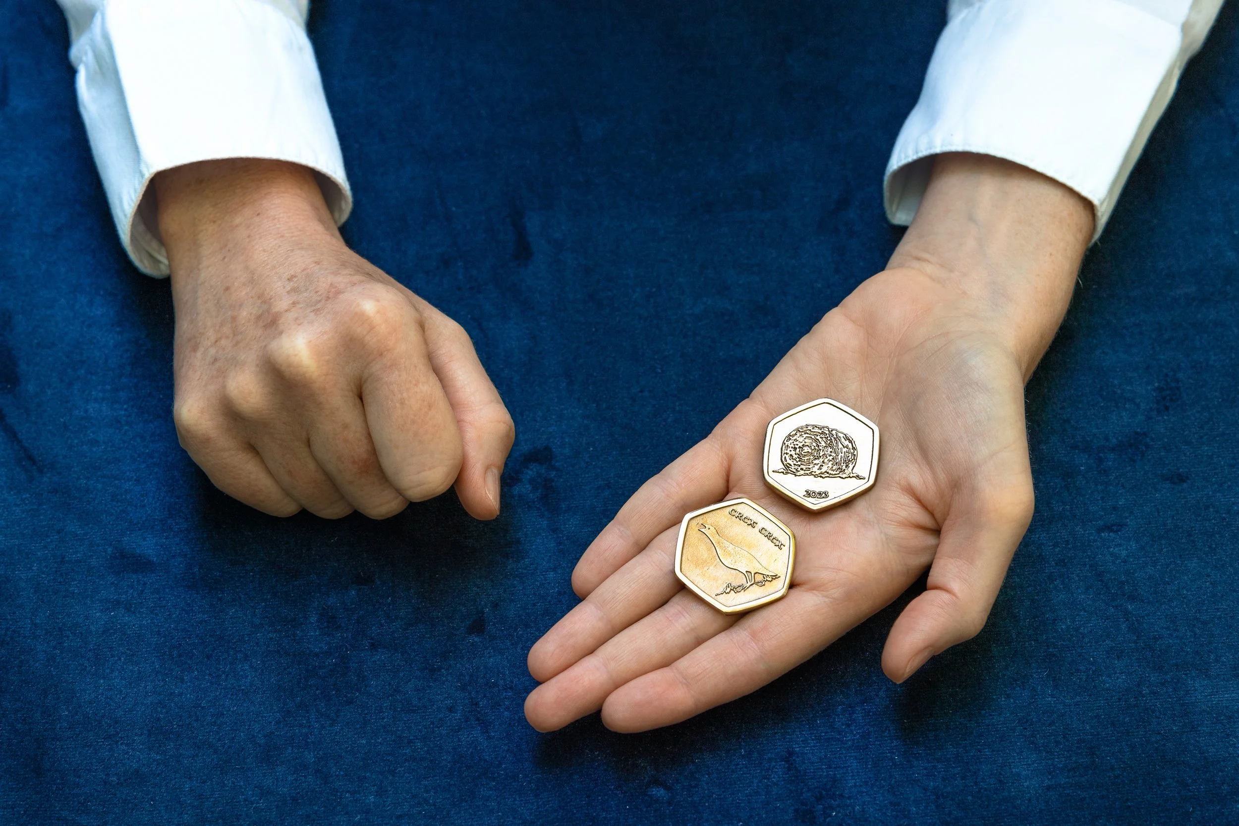 Coin Tricks, Ormston House, 2024