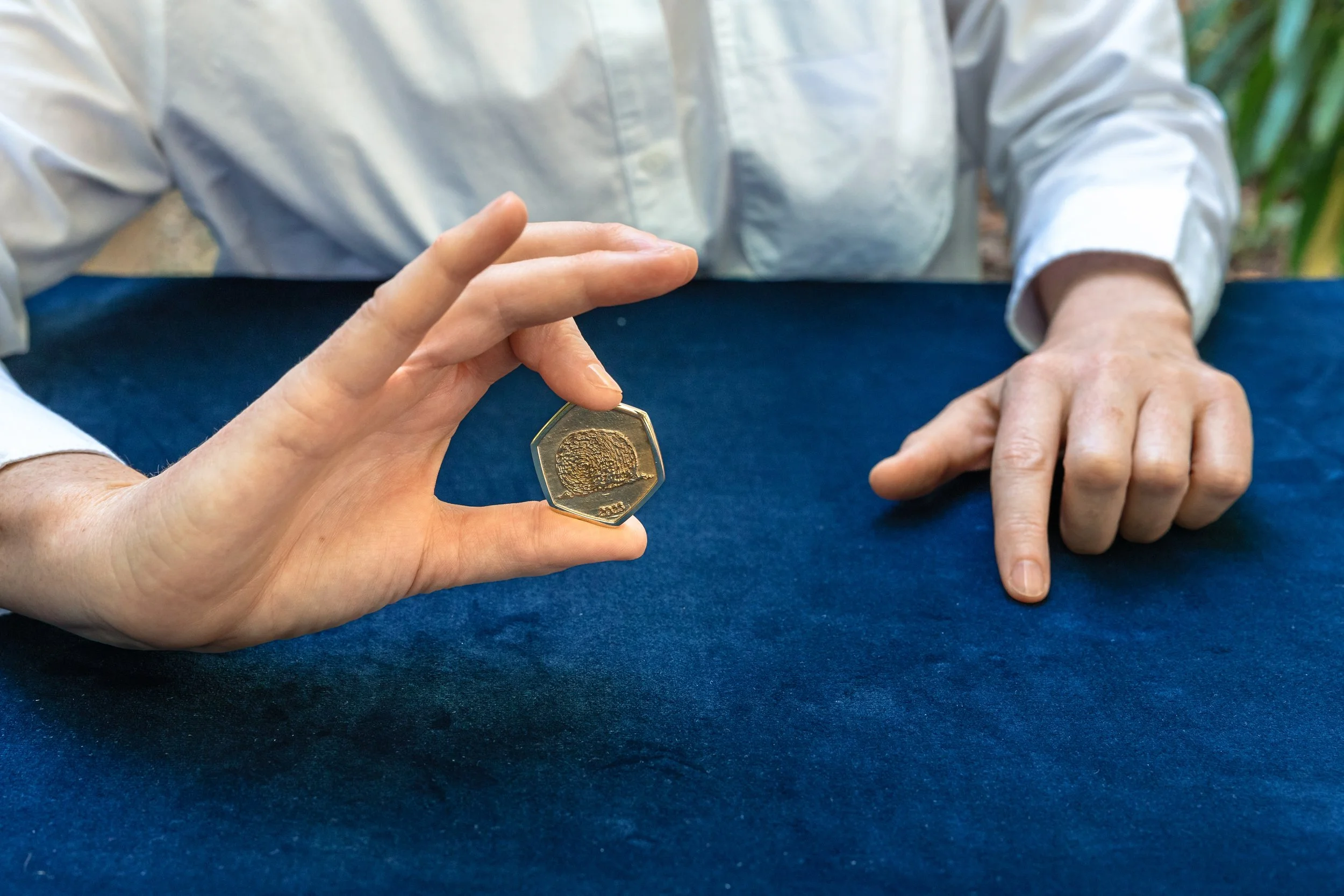 Seoidin Coin-16.jpg