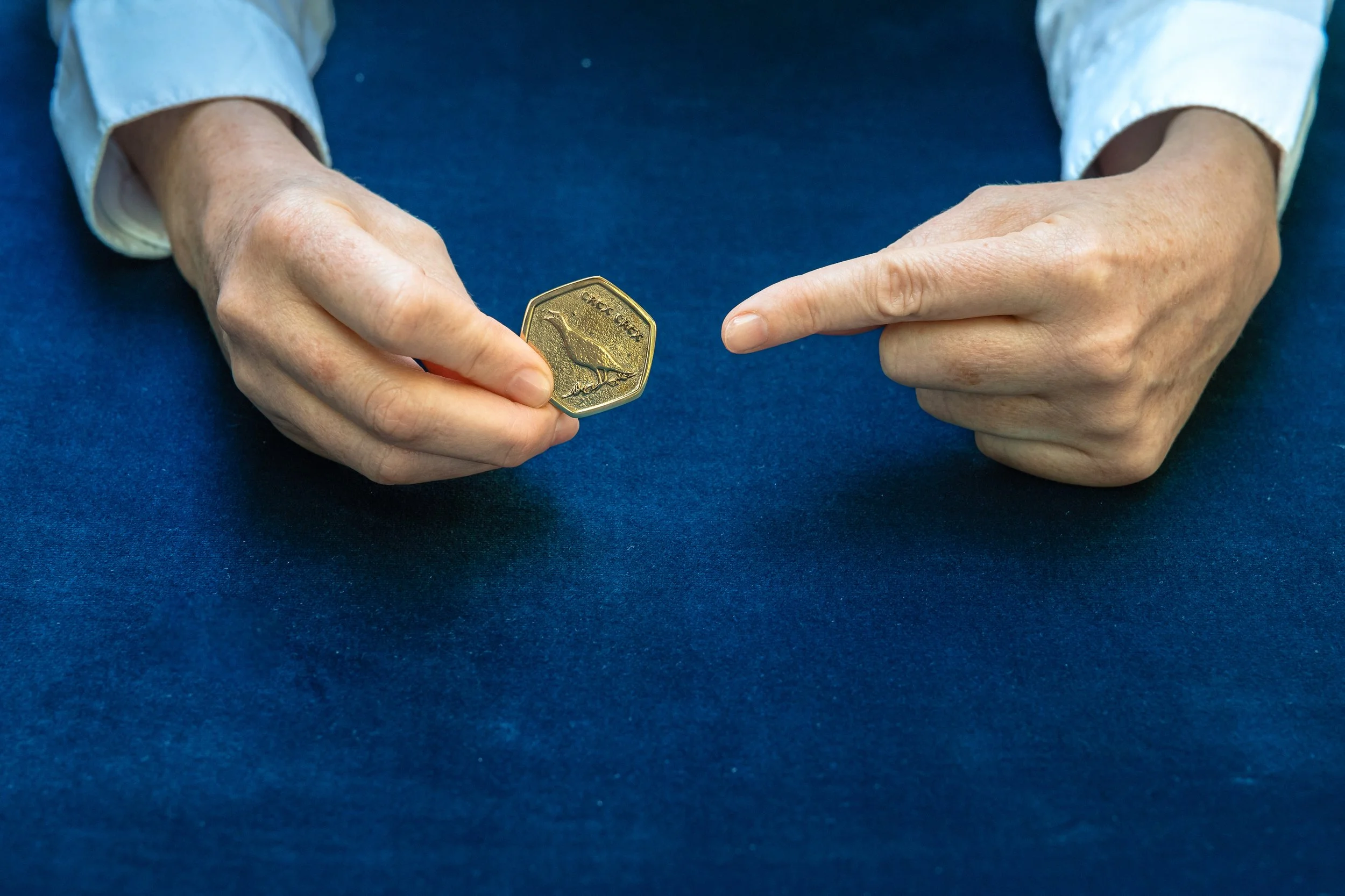 Seoidin Coin.jpg