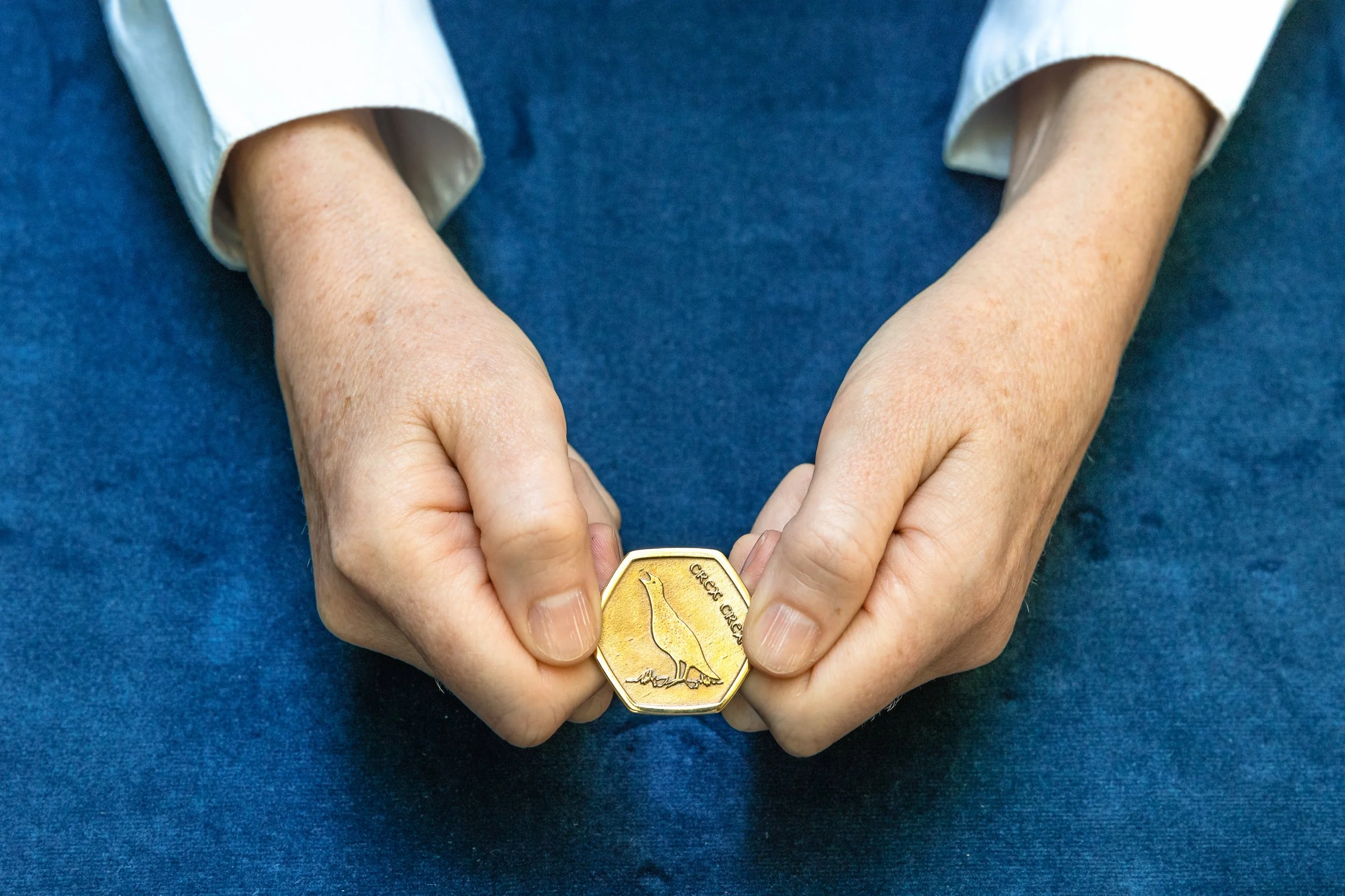 Seoidin Coin-14.jpg