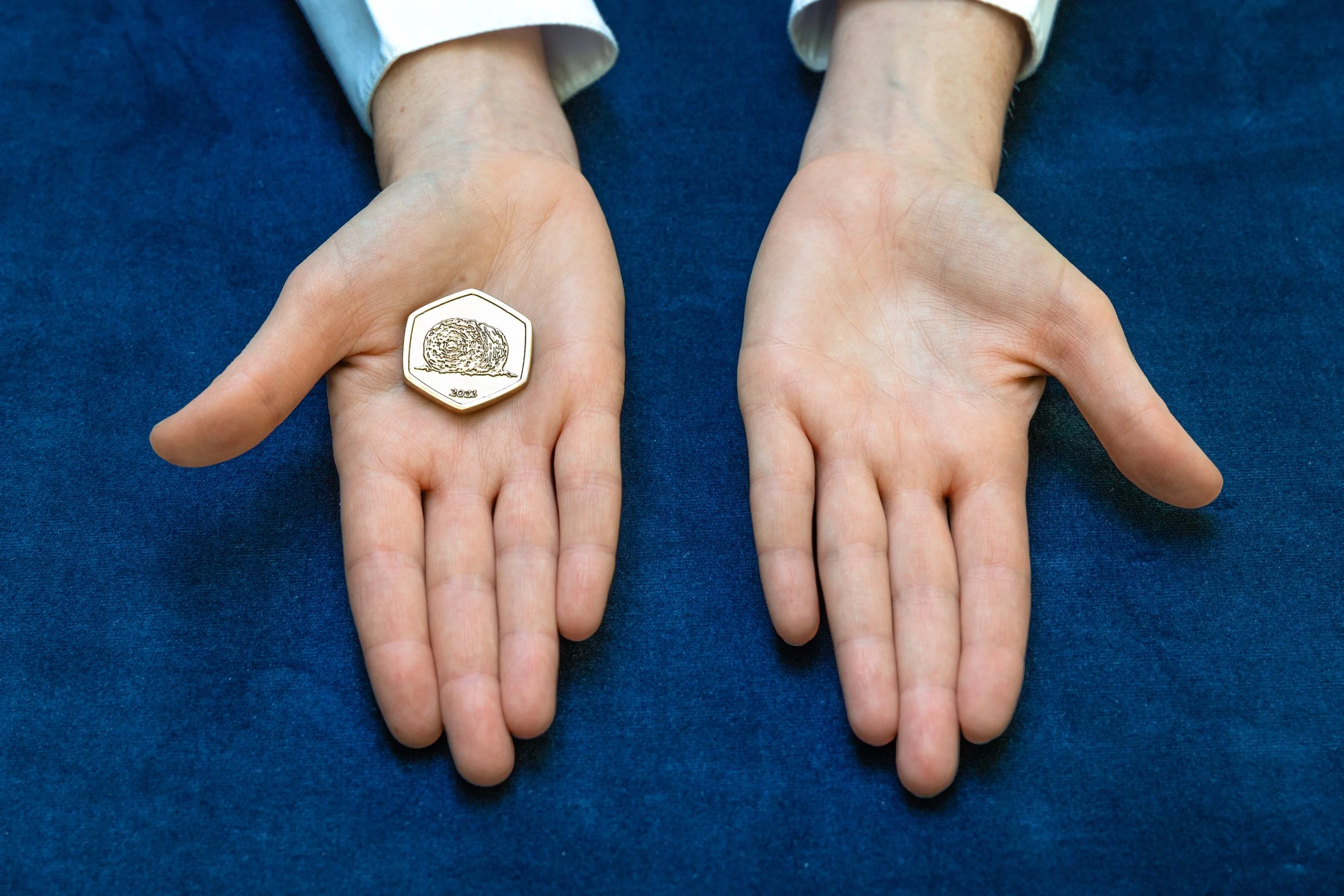 Seoidin Coin-3.jpg