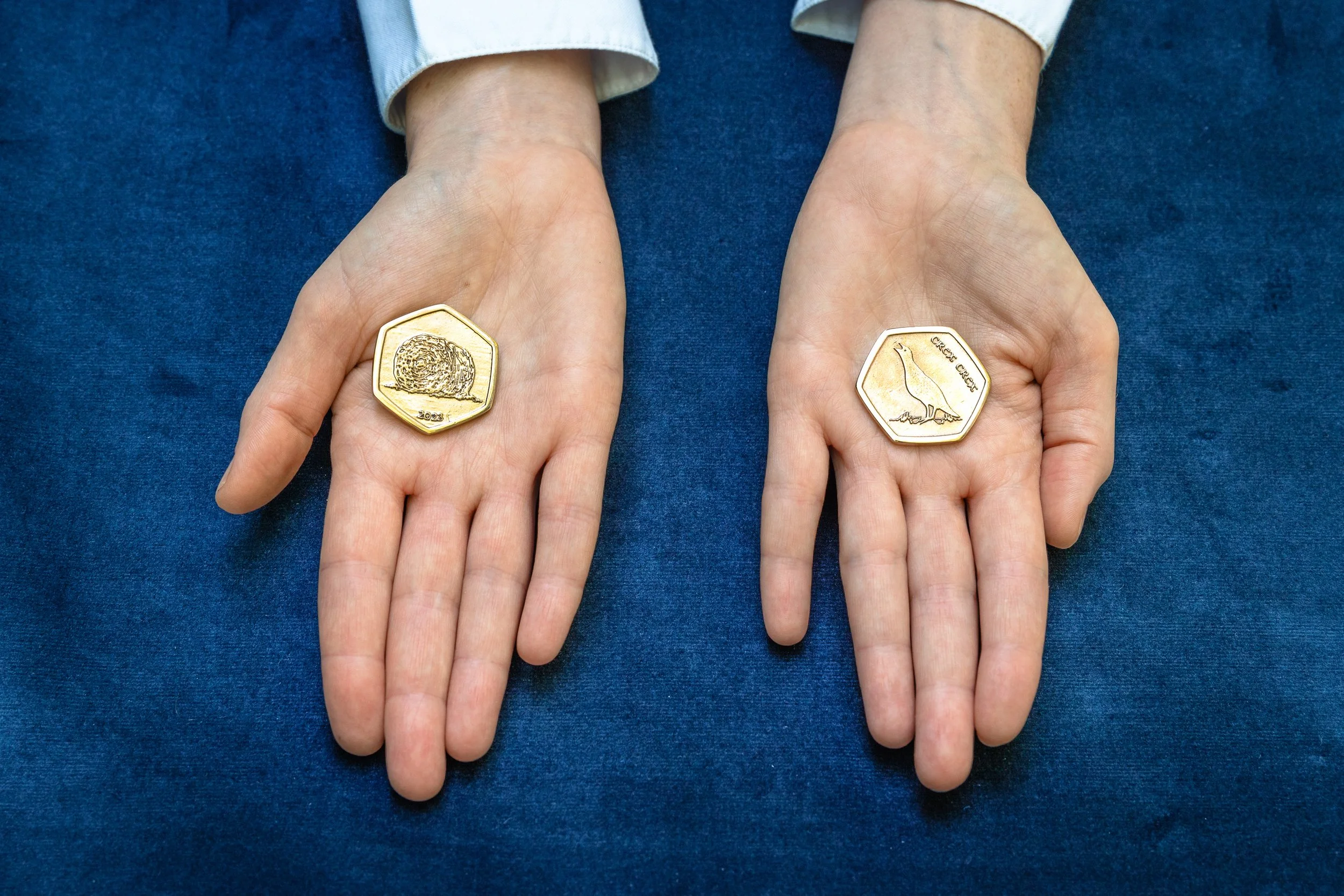 Seoidin Coin-11.jpg