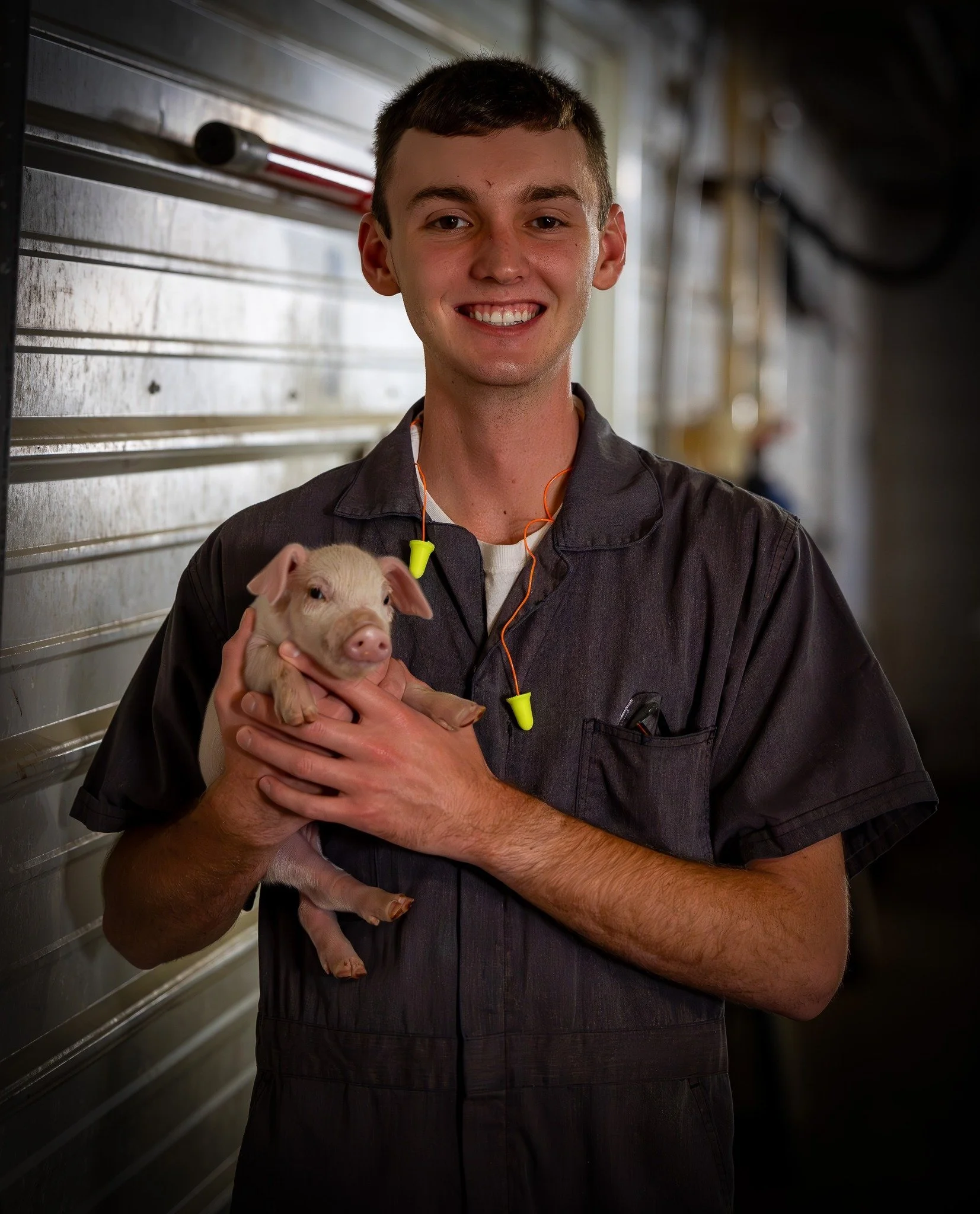 Aiden Piglet 1.jpg