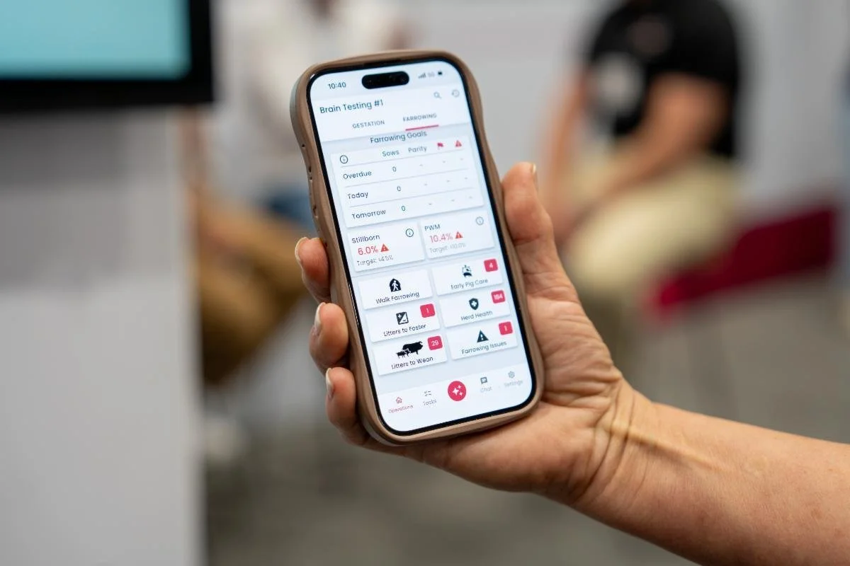 New AI Tool From WPX Could Revolutionize Pig Care