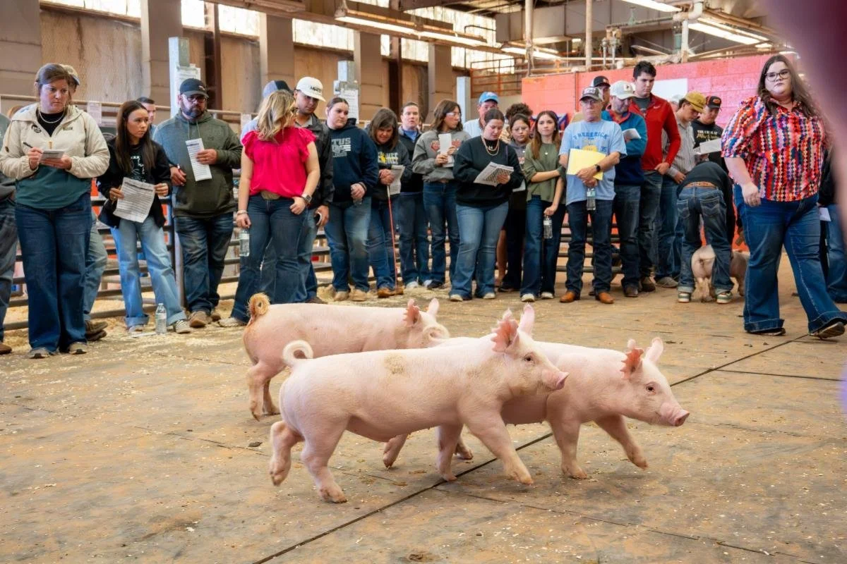Derby Program Continues to Recruit for Team Pork