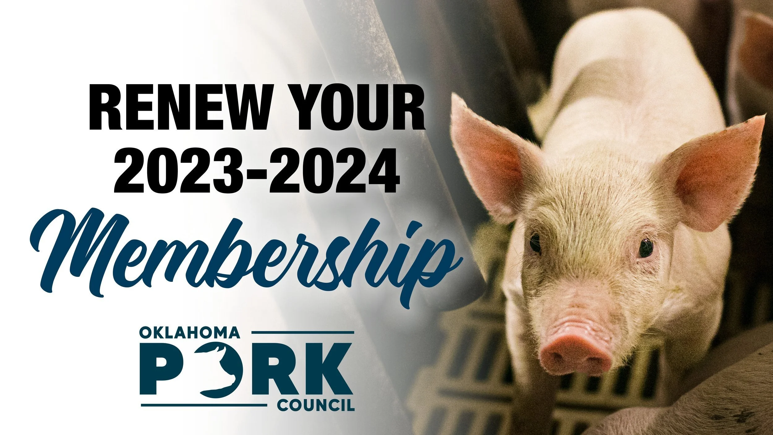 It's Time to Renew Your Membership for 2024!