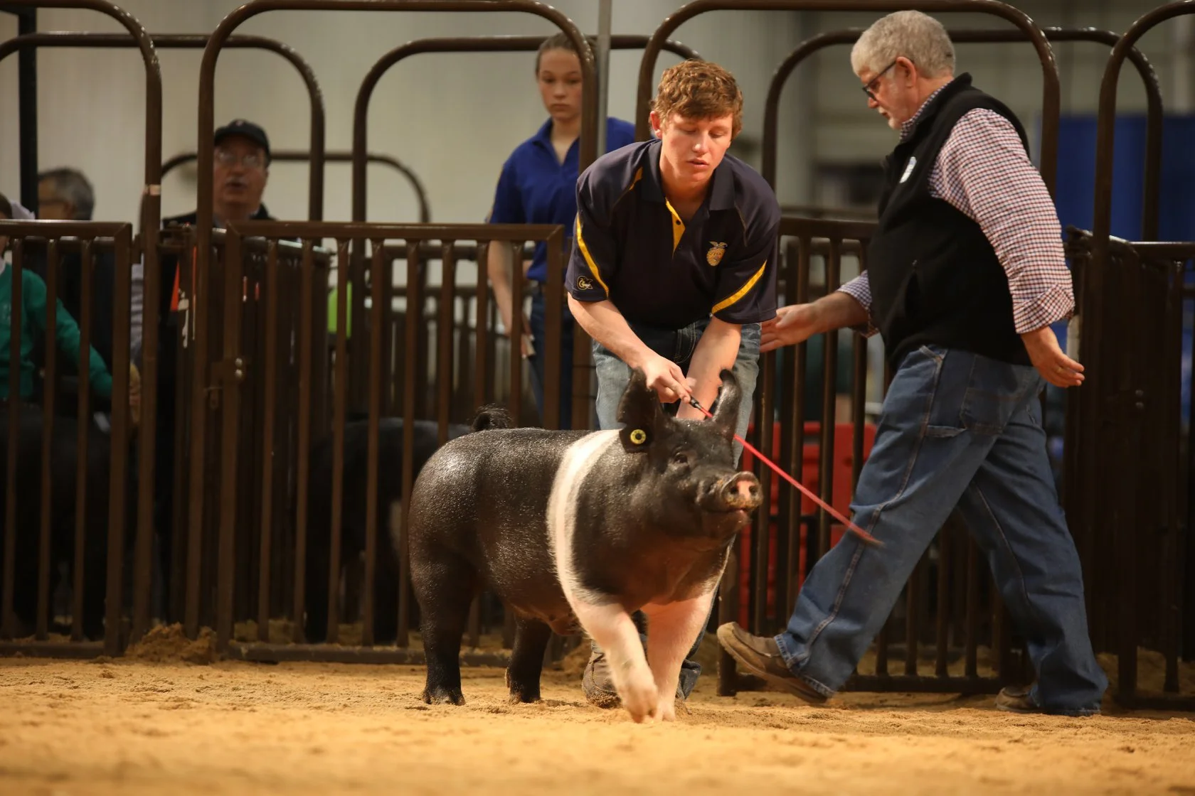 okPORK Continues Support of the Oklahoma Youth Expo
