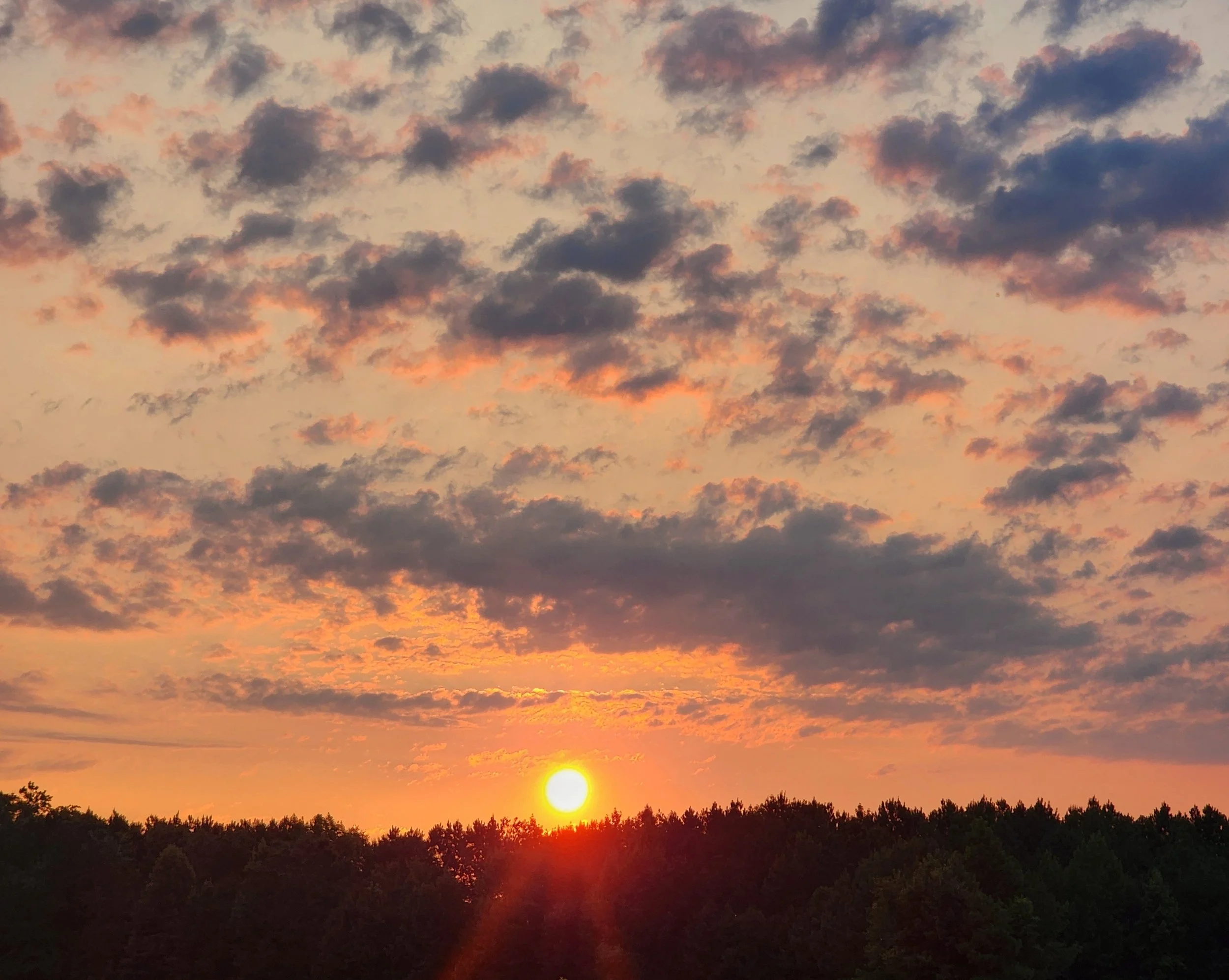It’s the dawn of a new day. What will you do?