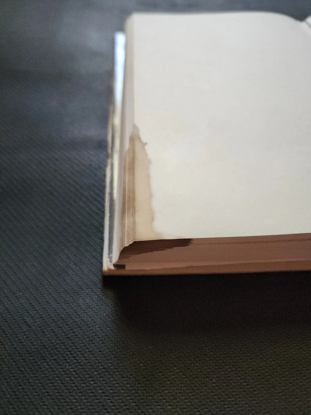 s-l1600 (3).webp