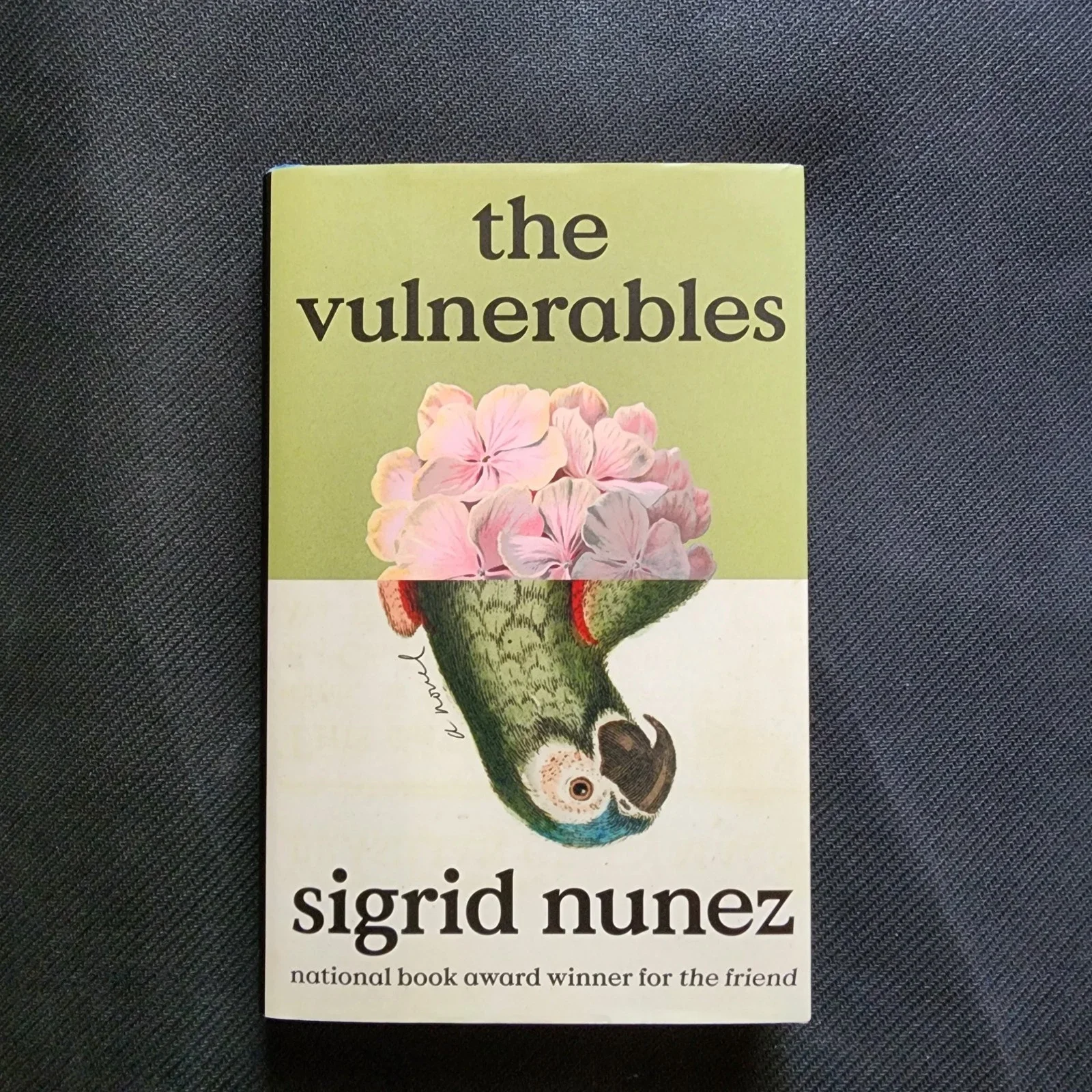 The Vulnerables by Sigrid Nunez (Used)
