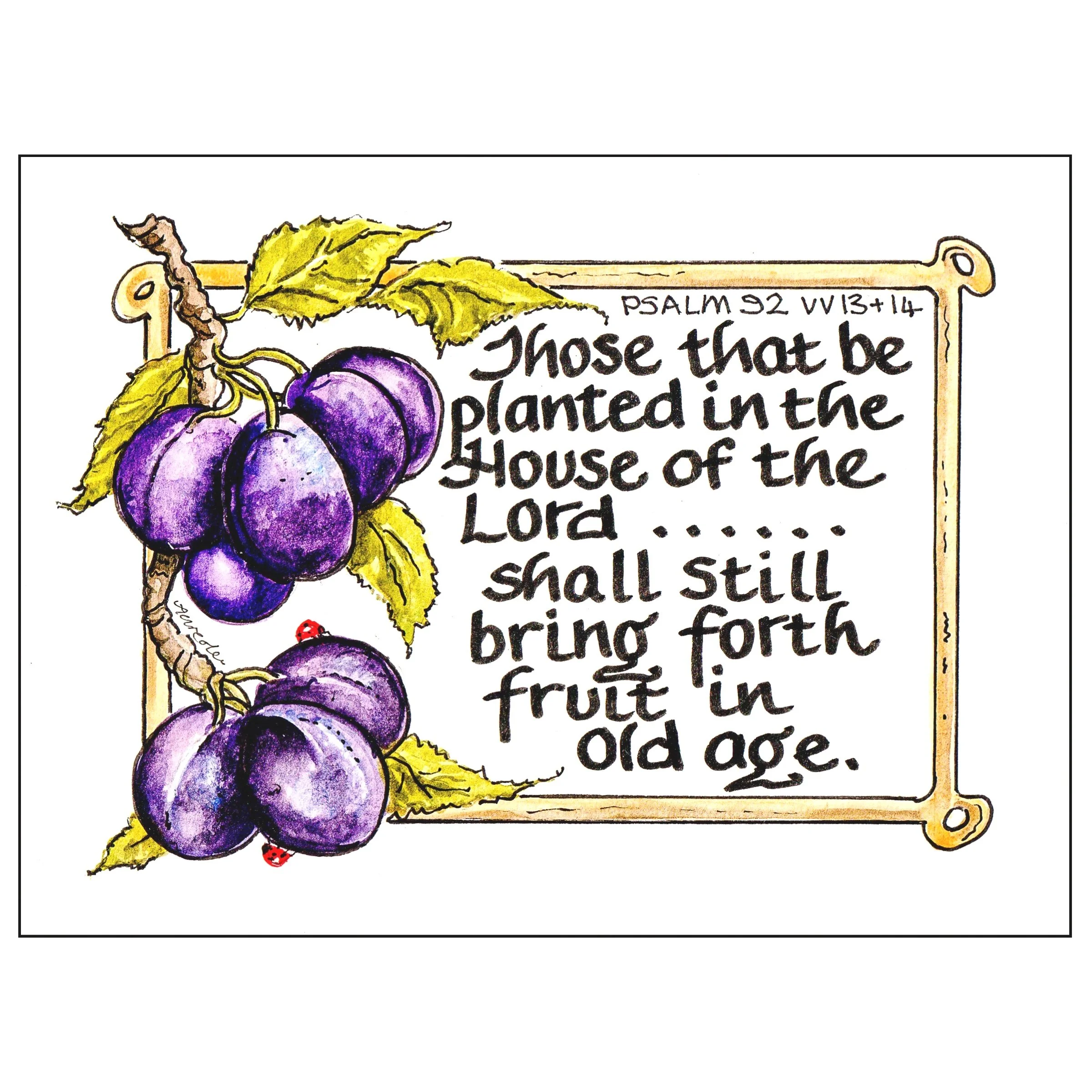 Bring forth fruit