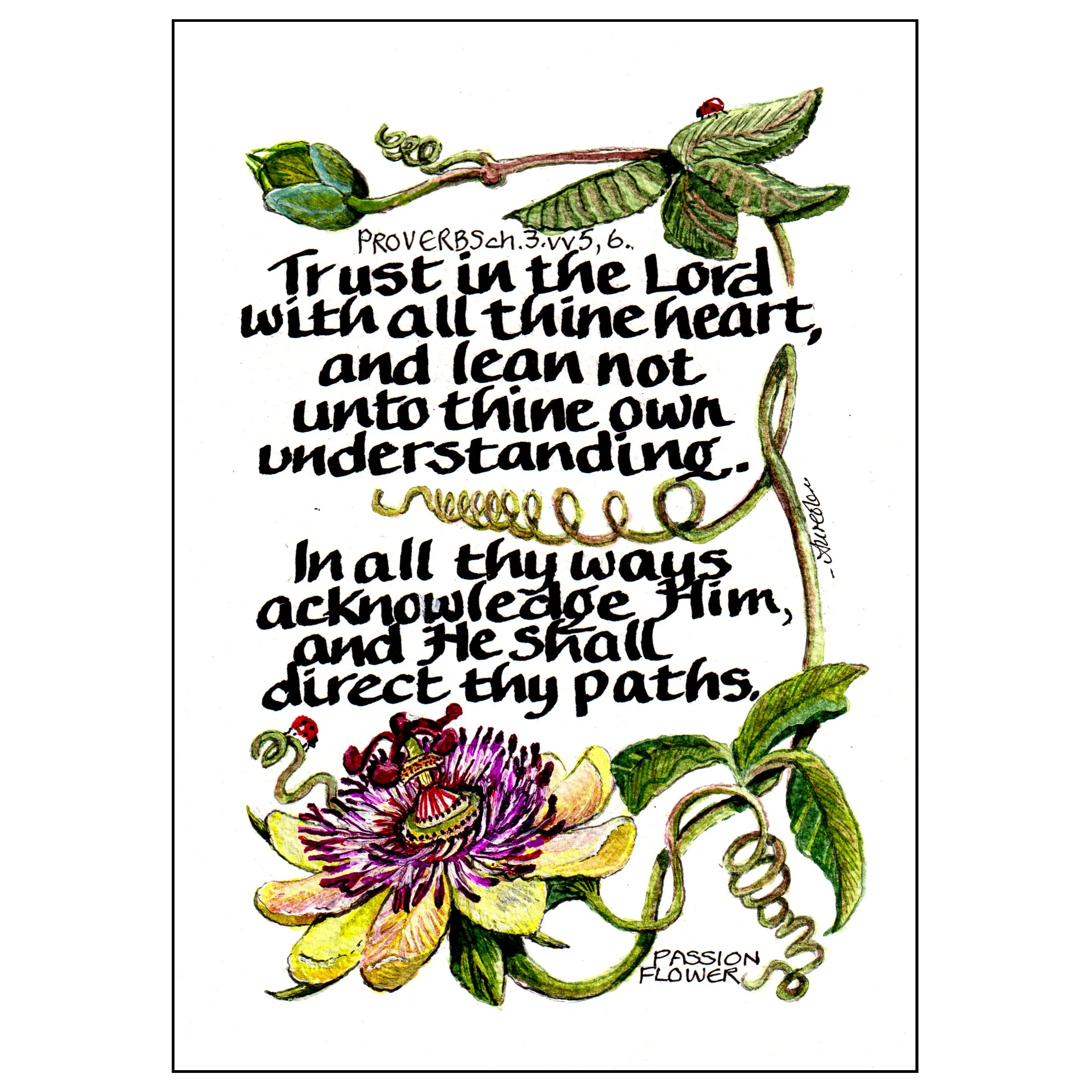 He shall direct thy paths