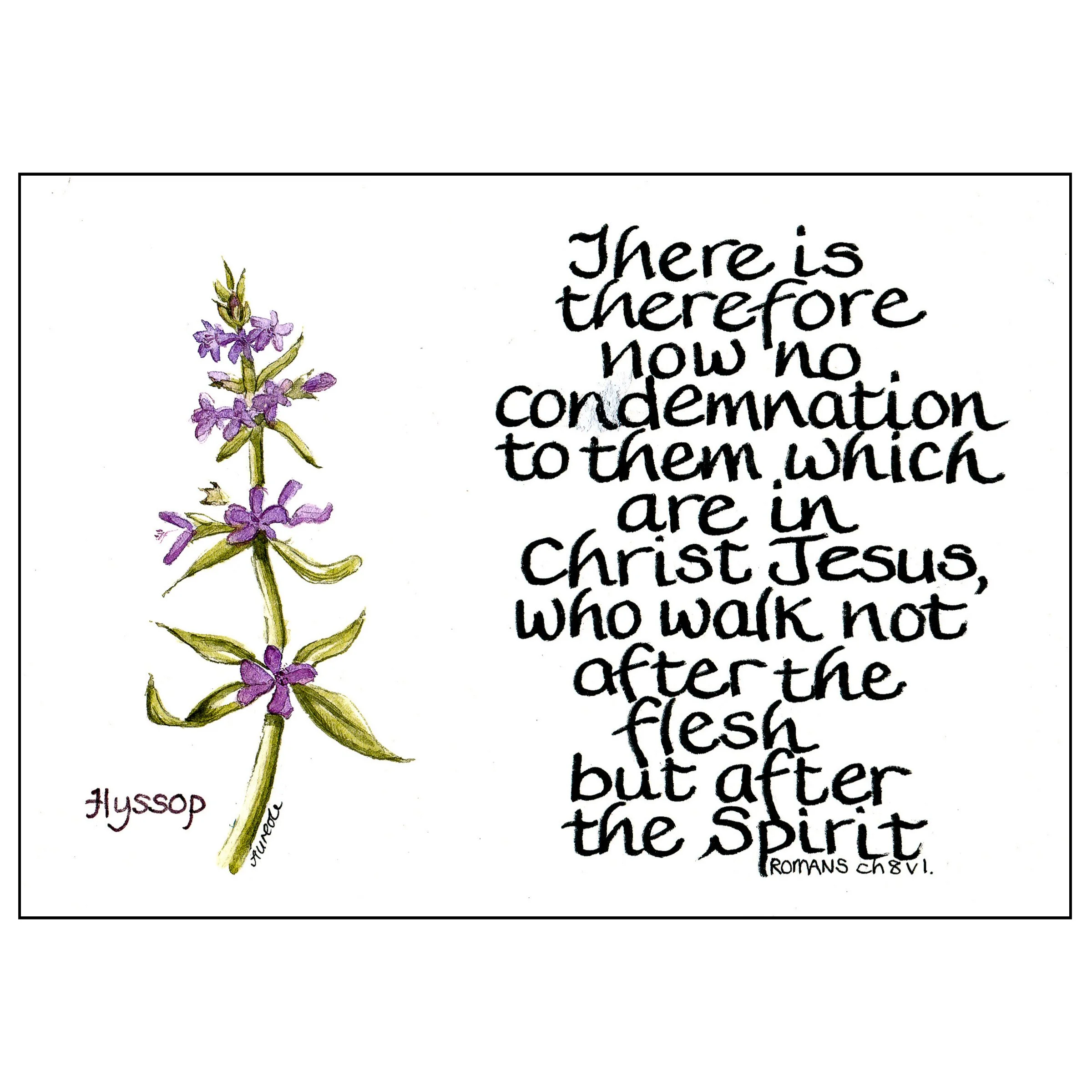 No condemnation