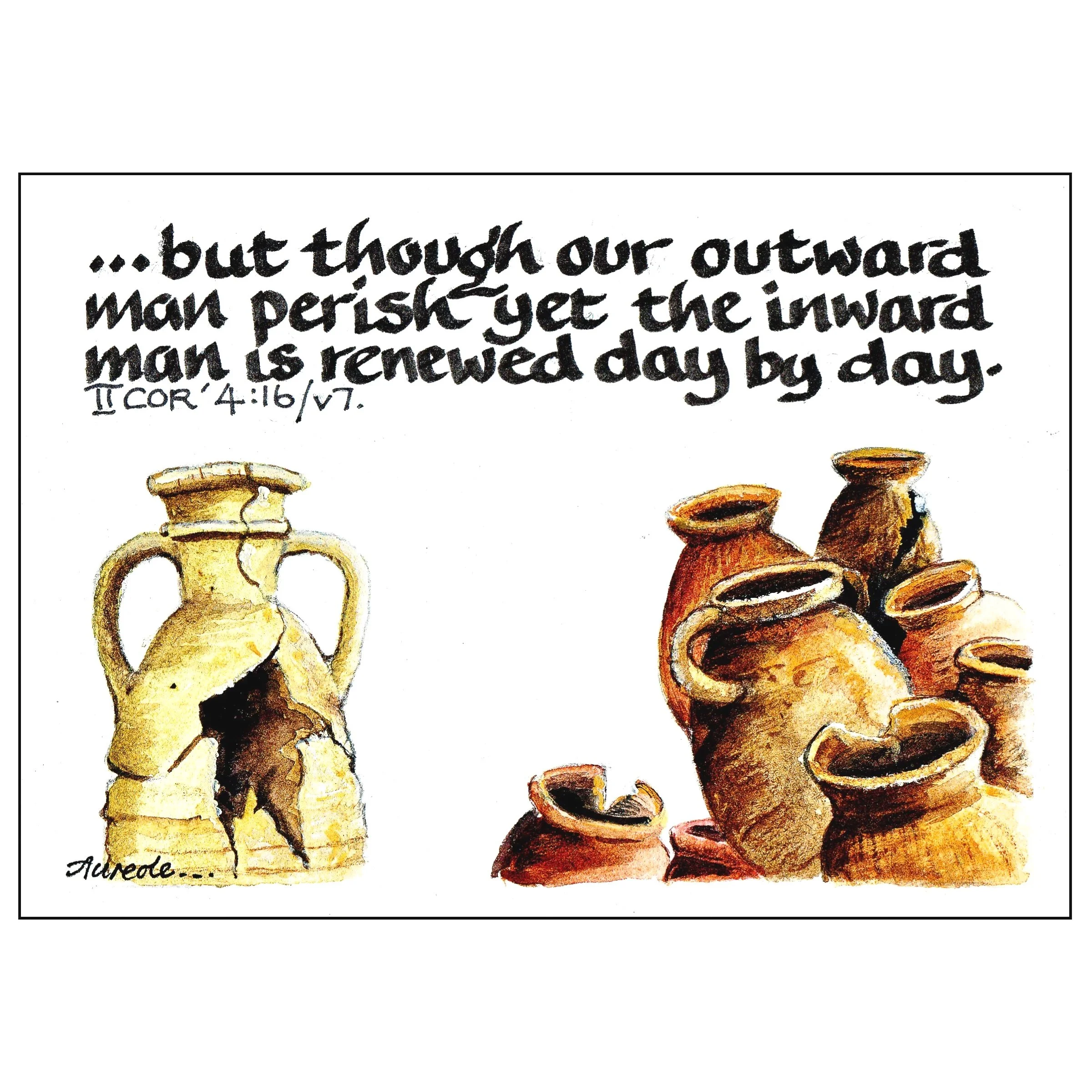 Renewed day by day