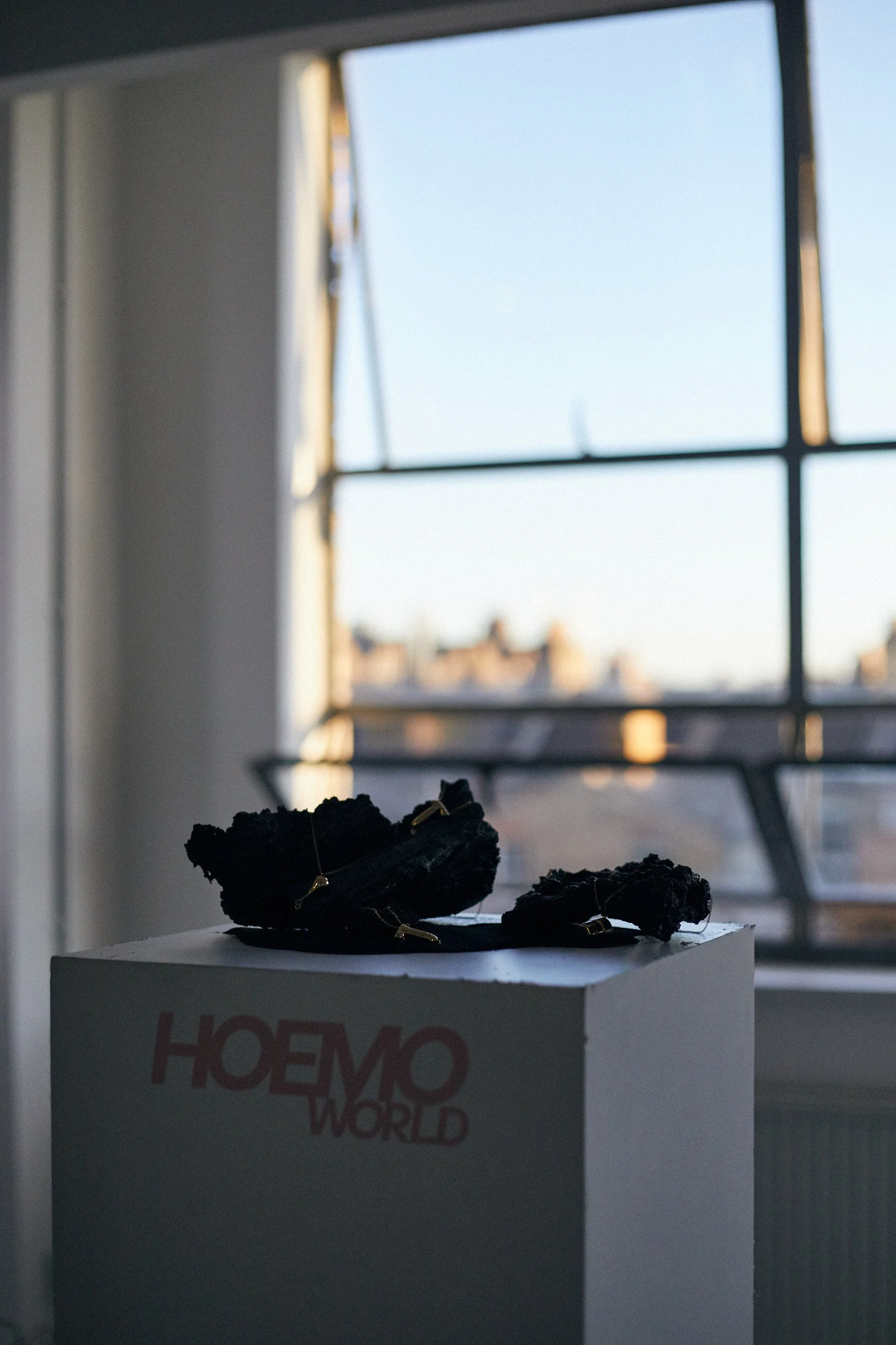 Hoemo World x Paul Perelka
