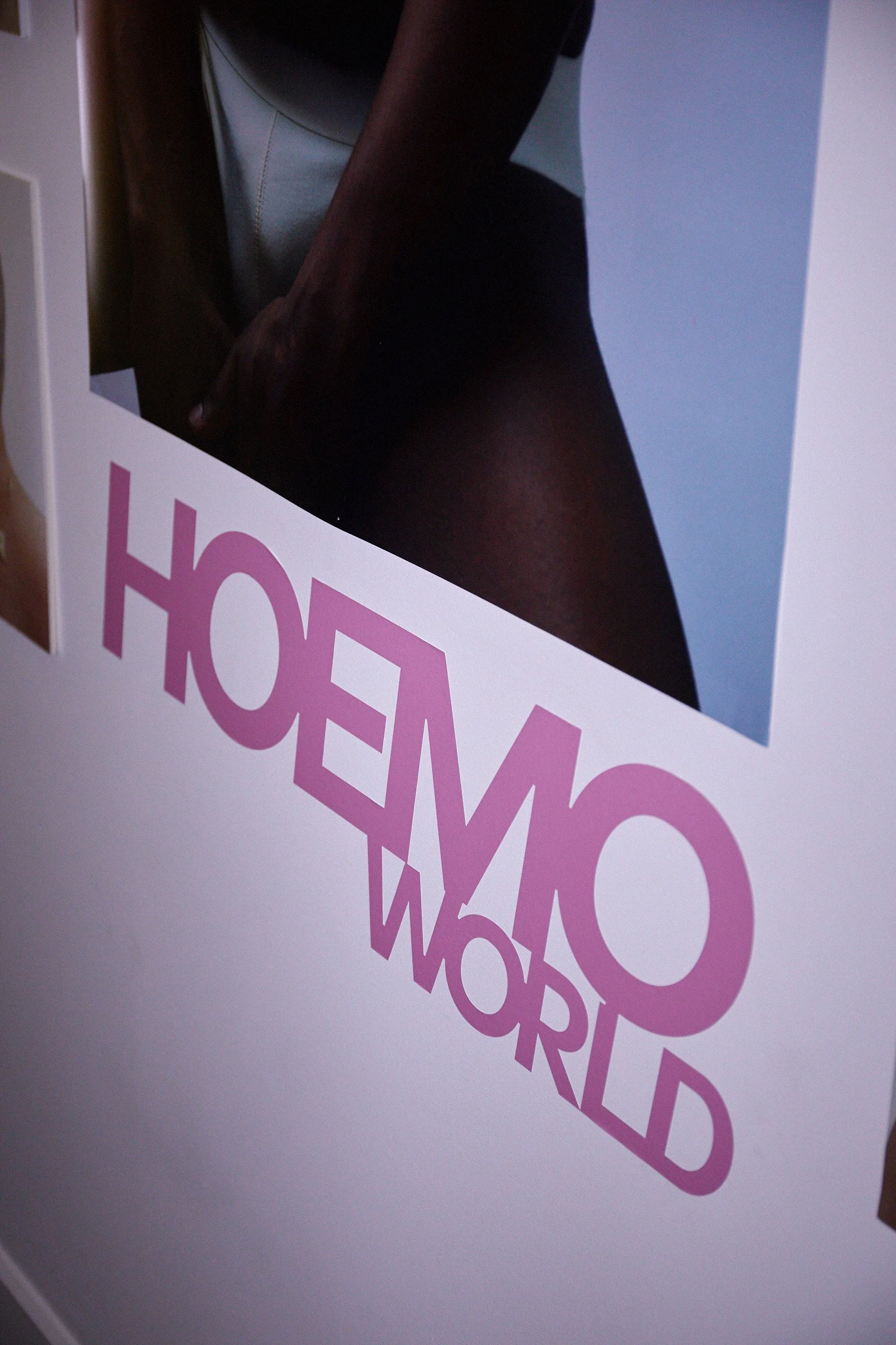 Hoemo World x Paul Perelka