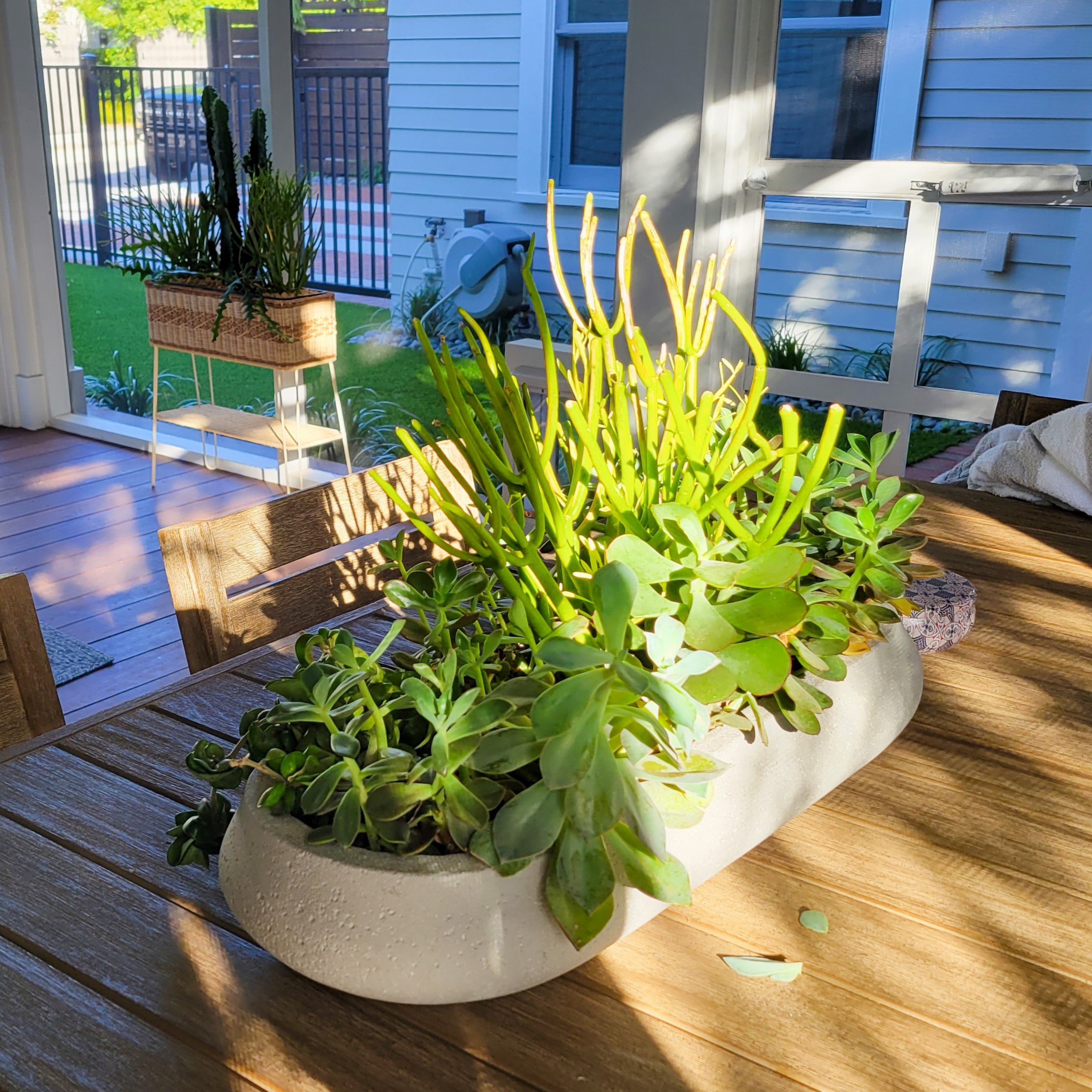 Nursery-177.jpg