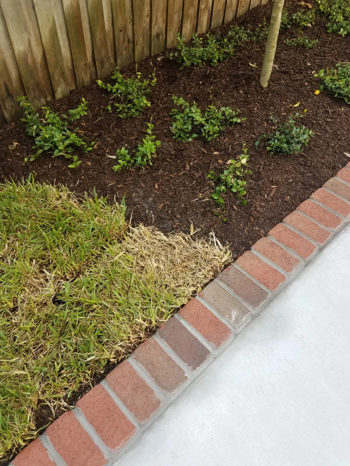 20180618_085607.jpg