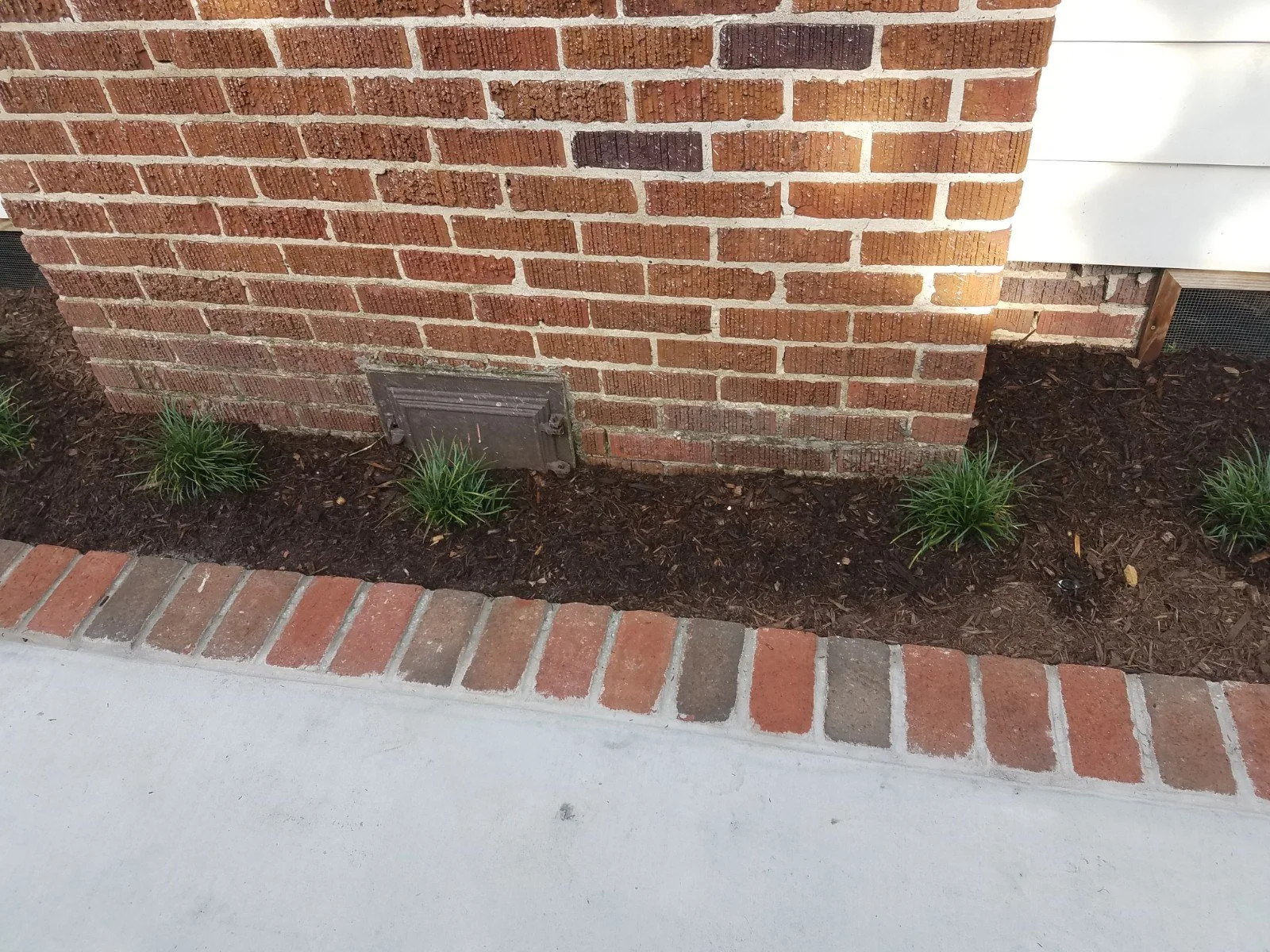 20180618_085414.jpg