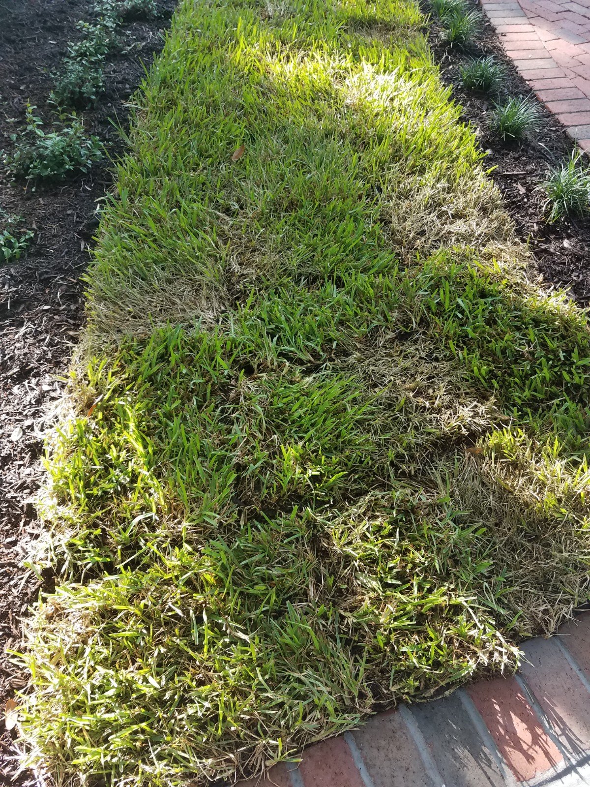 20180618_085637.jpg