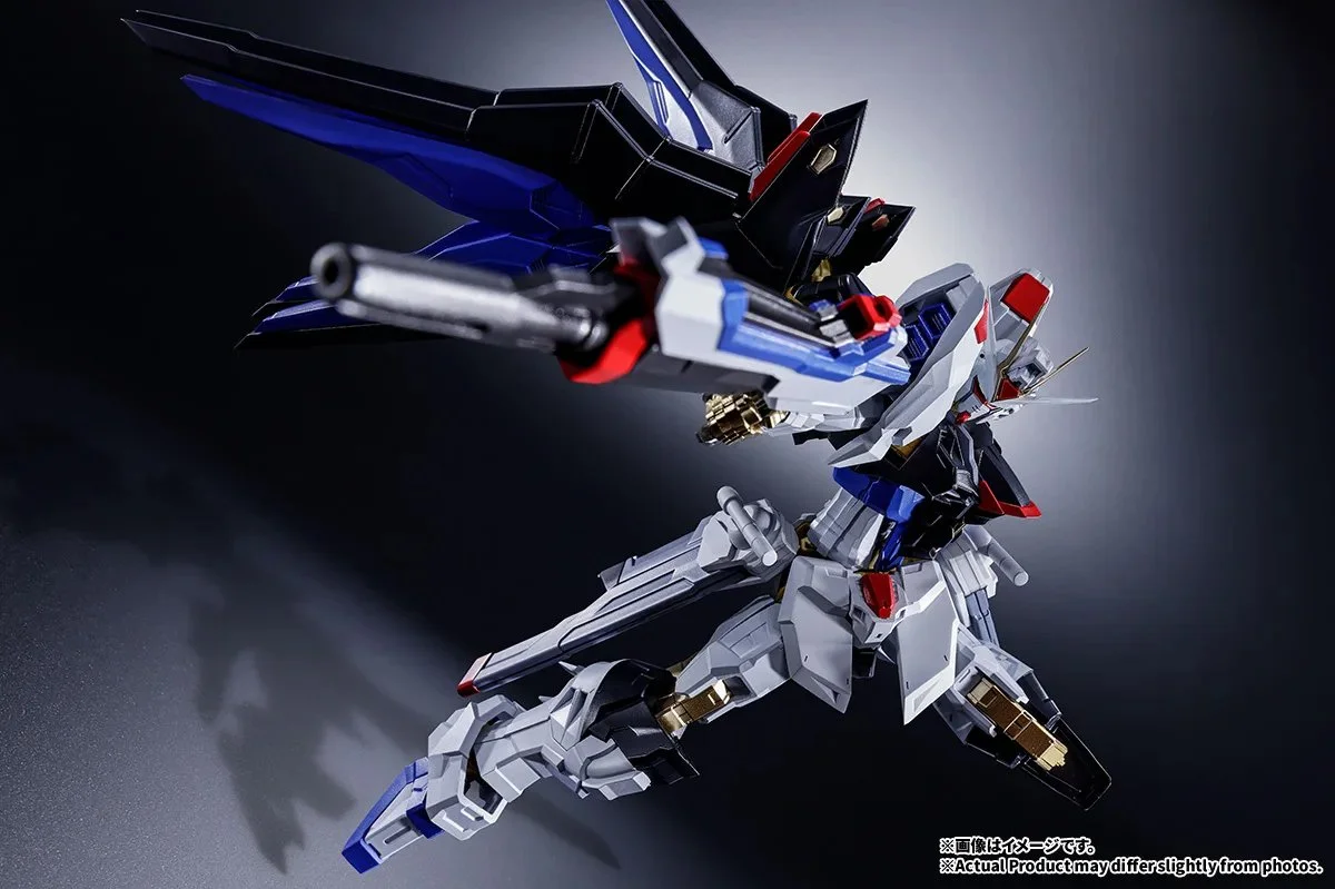 absolute act strike freedom gundam (5).jpg