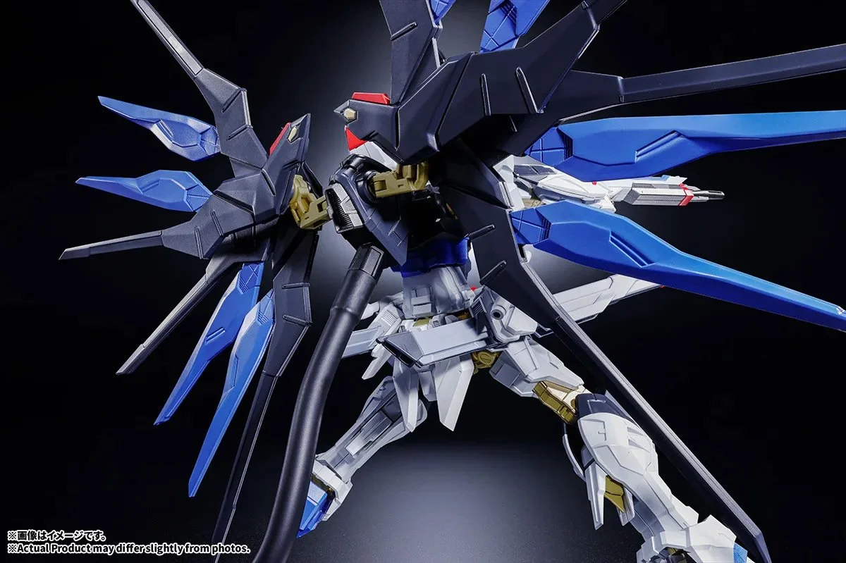 absolute act strike freedom gundam (6).jpg