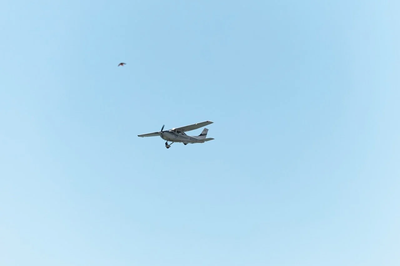 website - 2.jpeg