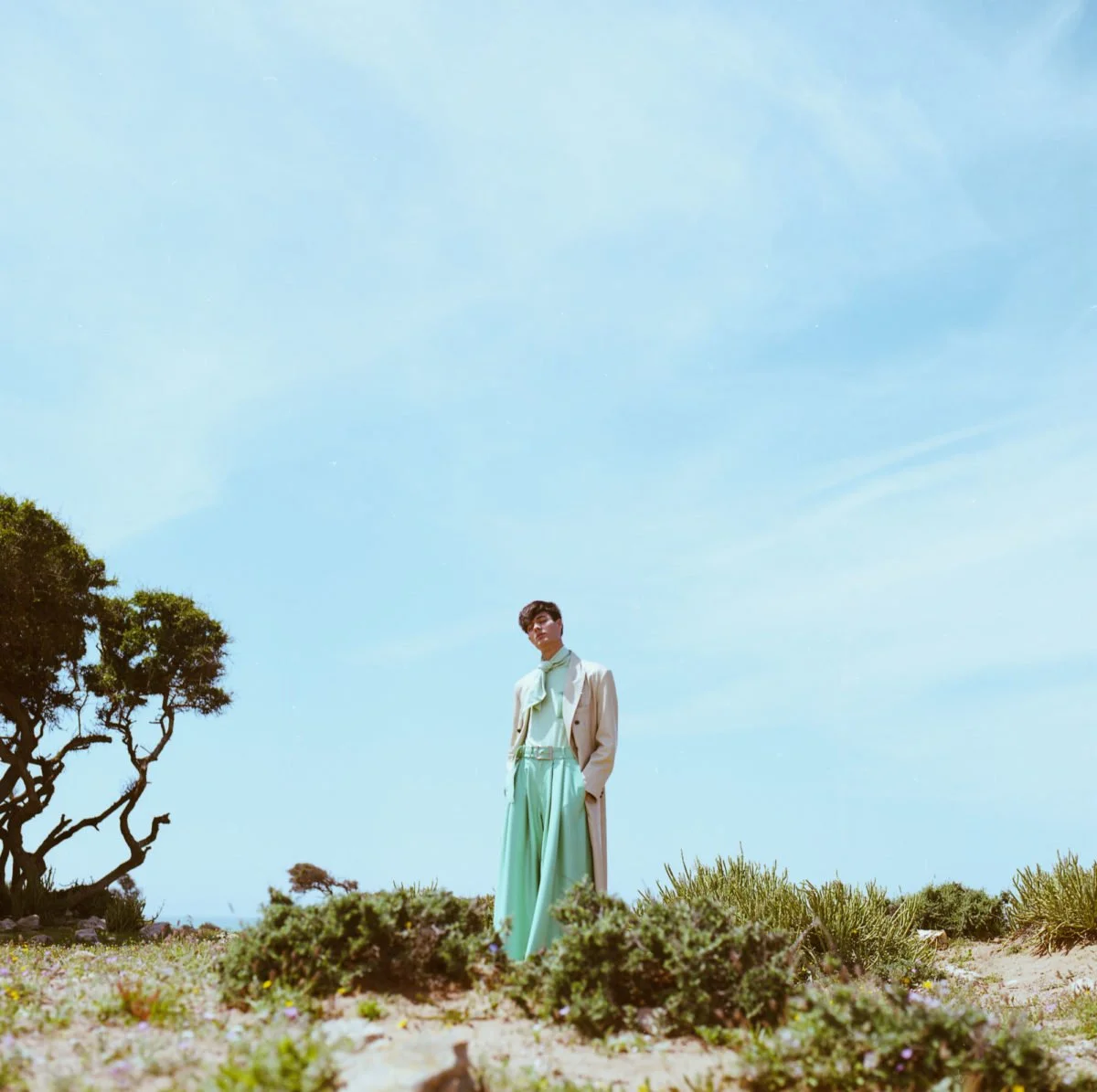 Une personne debout dans un paysage désertique sous un ciel bleu clair, avec quelques arbres et buissons autour. Arthur Avellano